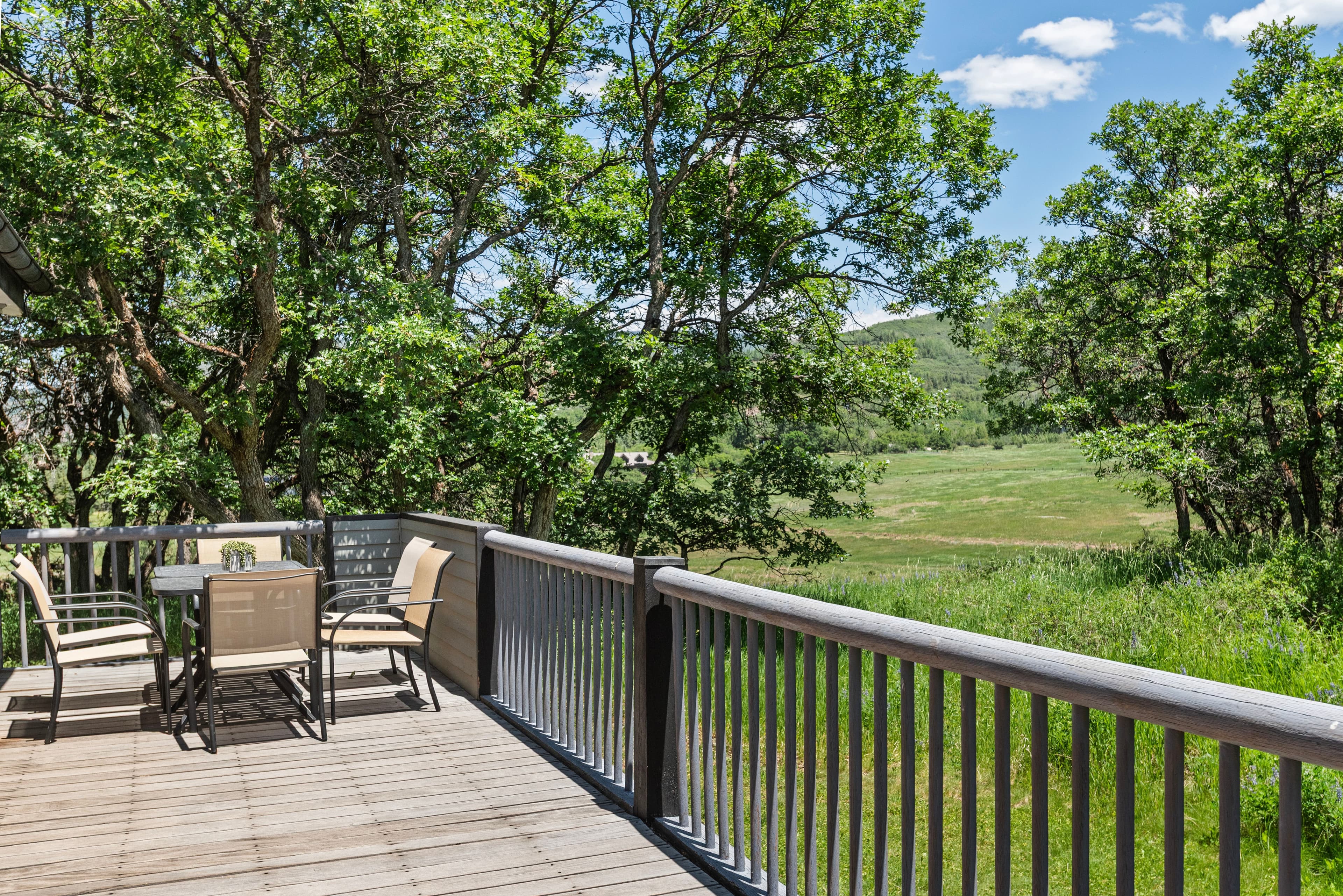 623 Johnson Drive, Aspen, CO 81611 - Photo 28