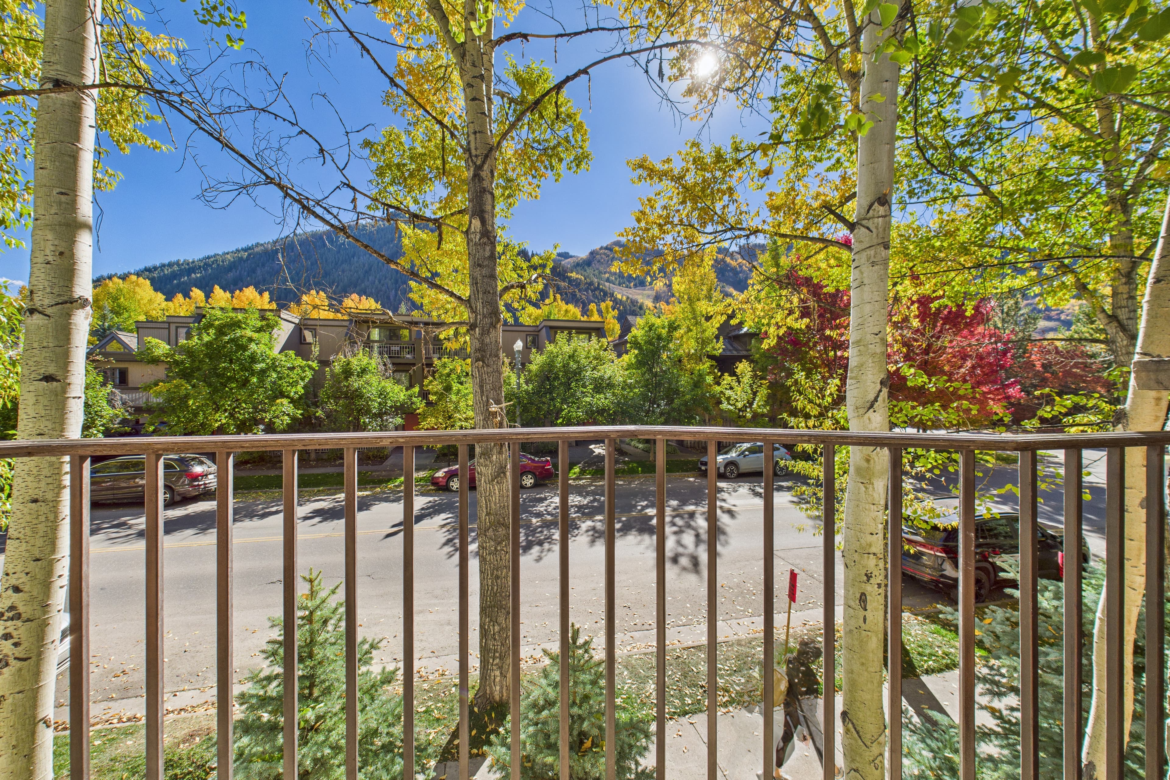 914 E Cooper Avenue, Aspen, CO 81611 - Photo 37