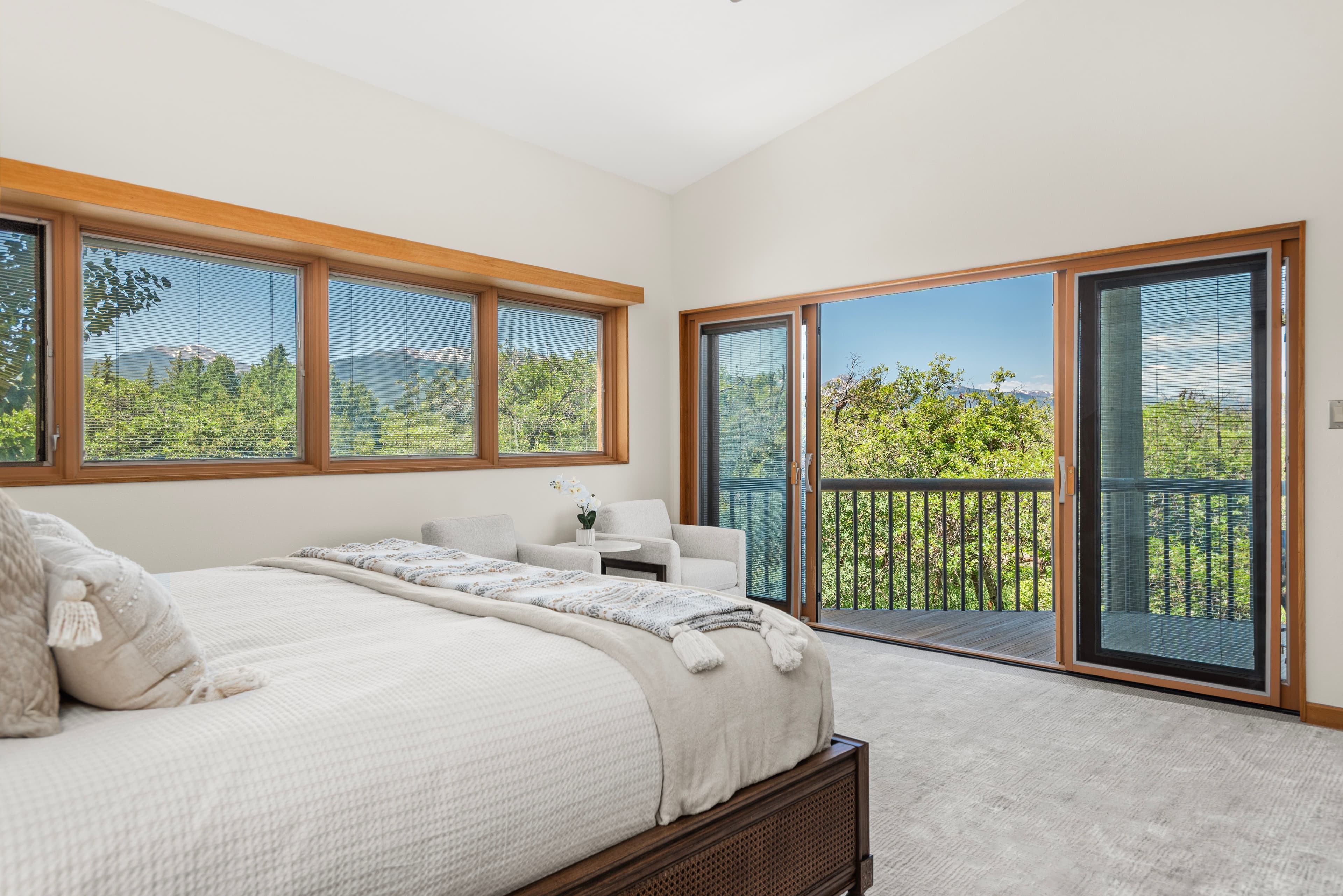 623 Johnson Drive, Aspen, CO 81611 - Photo 31