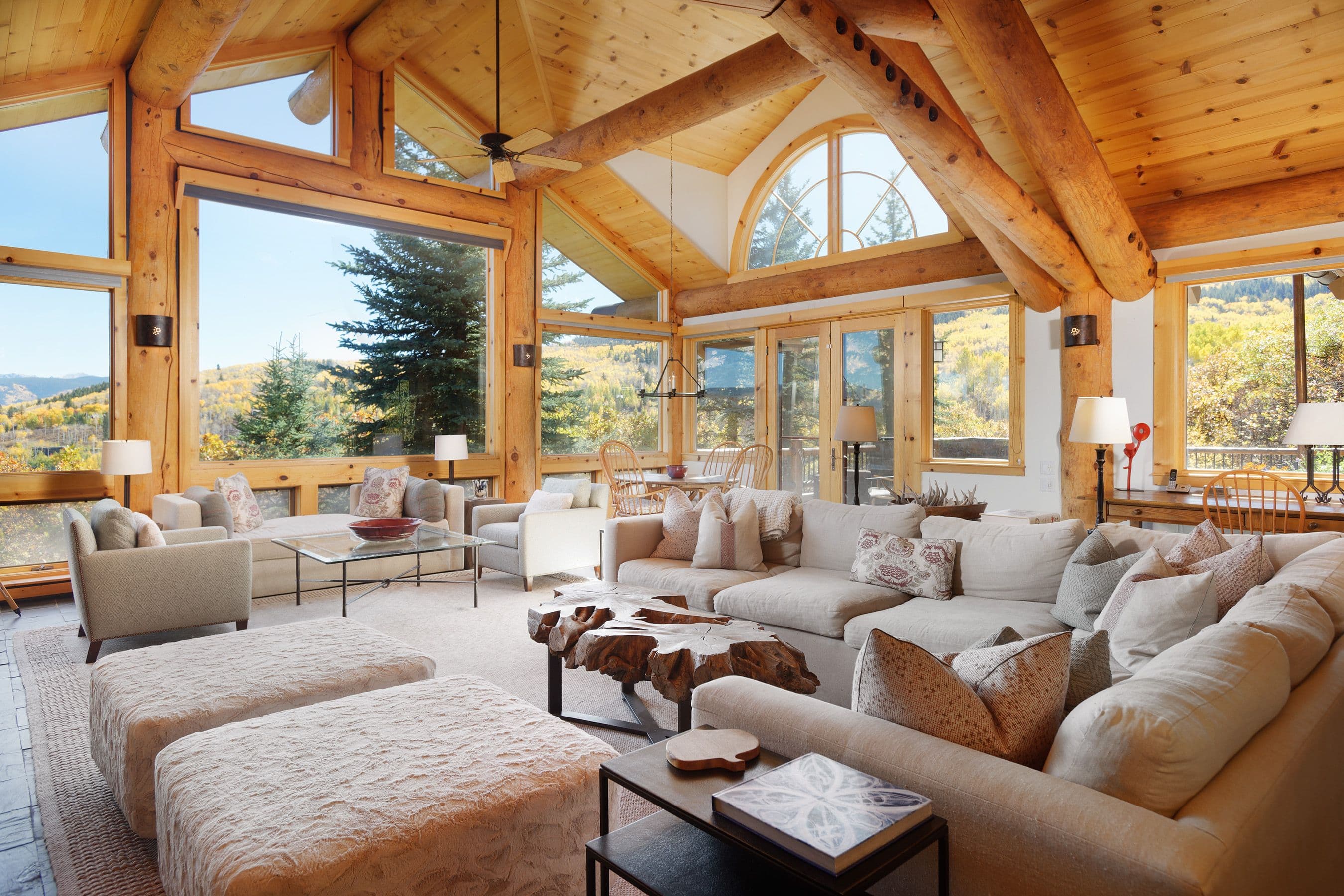 38 Fox Lane, Snowmass Village, CO 81615 - Photo 5