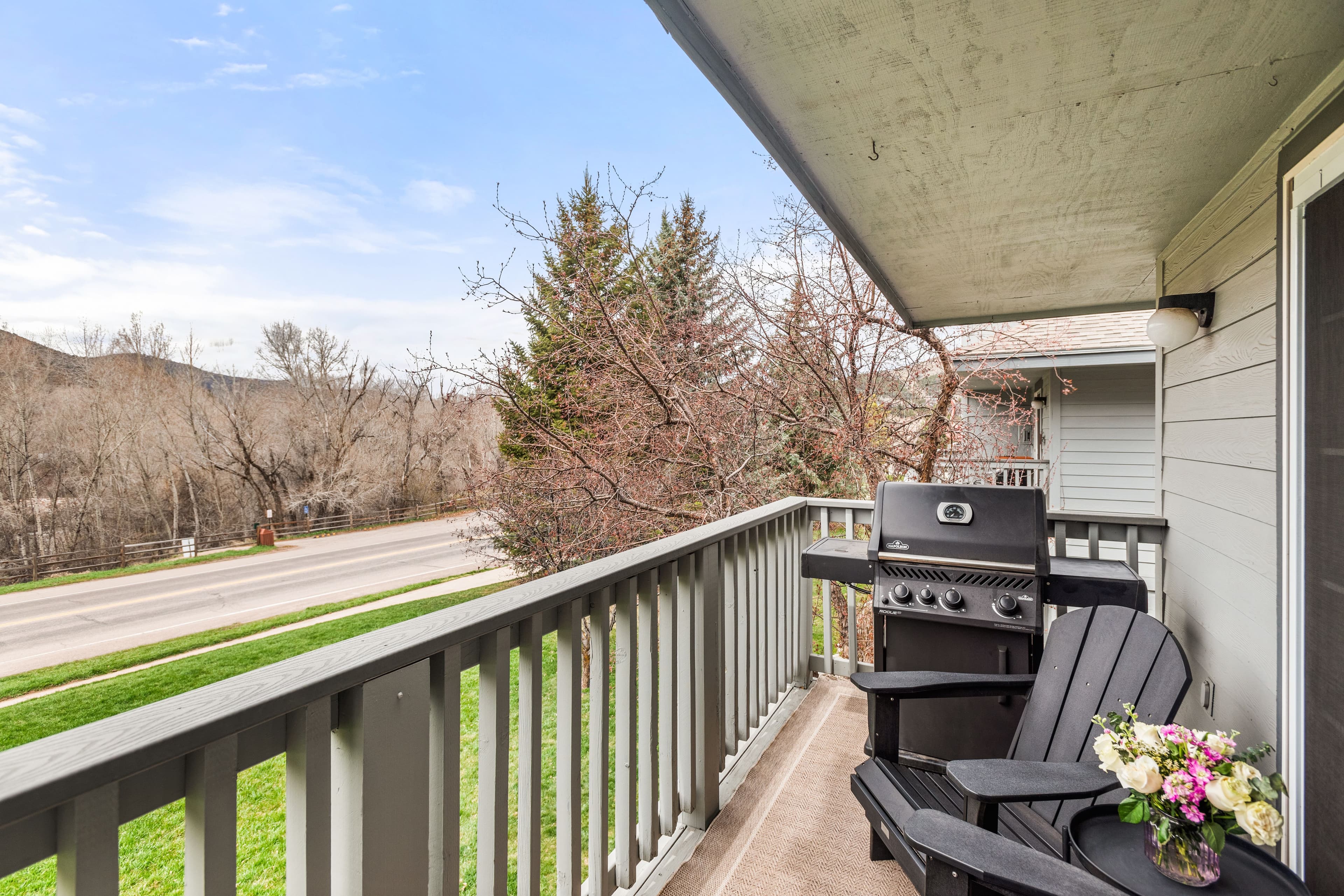 4202 Elk Lane, Basalt, CO 81621 - Photo 3