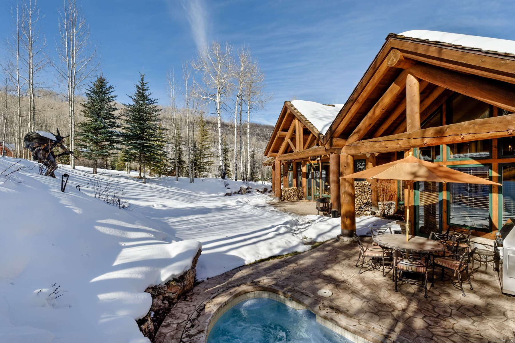 849 Serviceberry Lane, Snowmass Village, CO 81615 - Photo 13