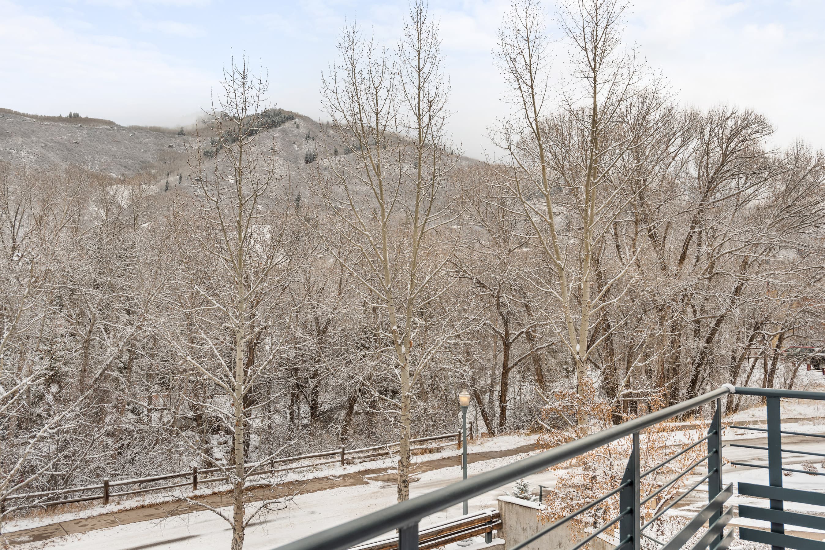 501 Rio Grande Place 201, Aspen, CO 81611 - Photo 15