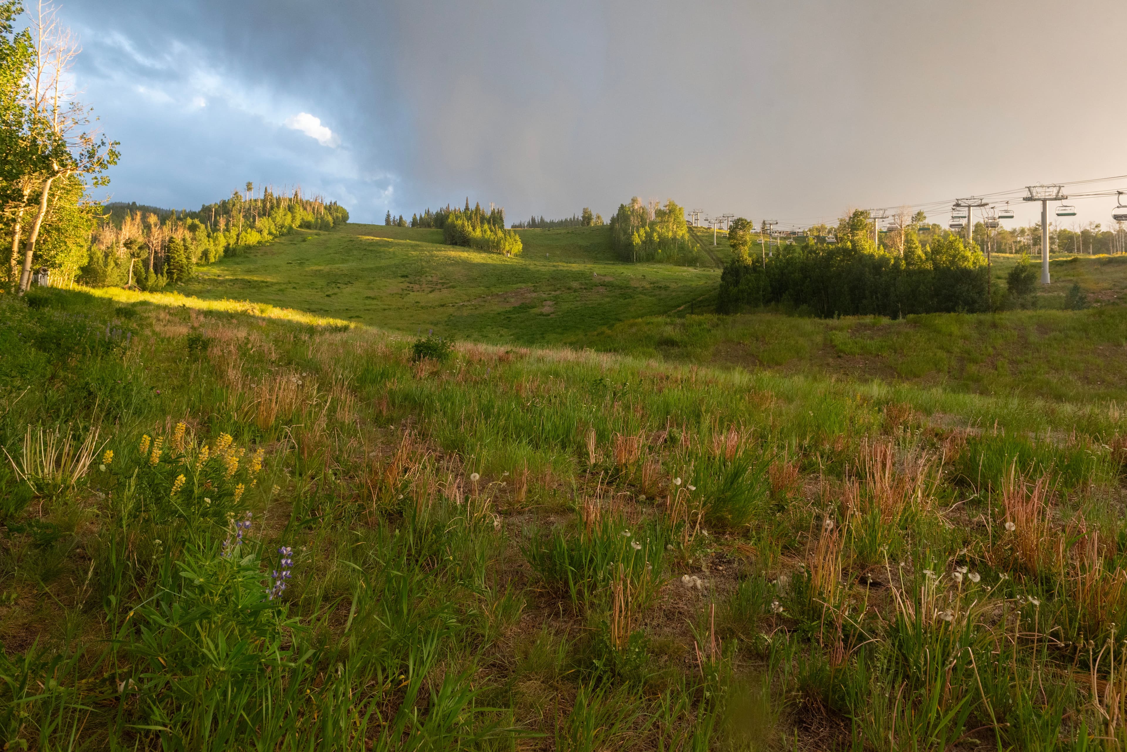 473 Creek Lane, Snowmass Village, CO 81615 - Photo 66