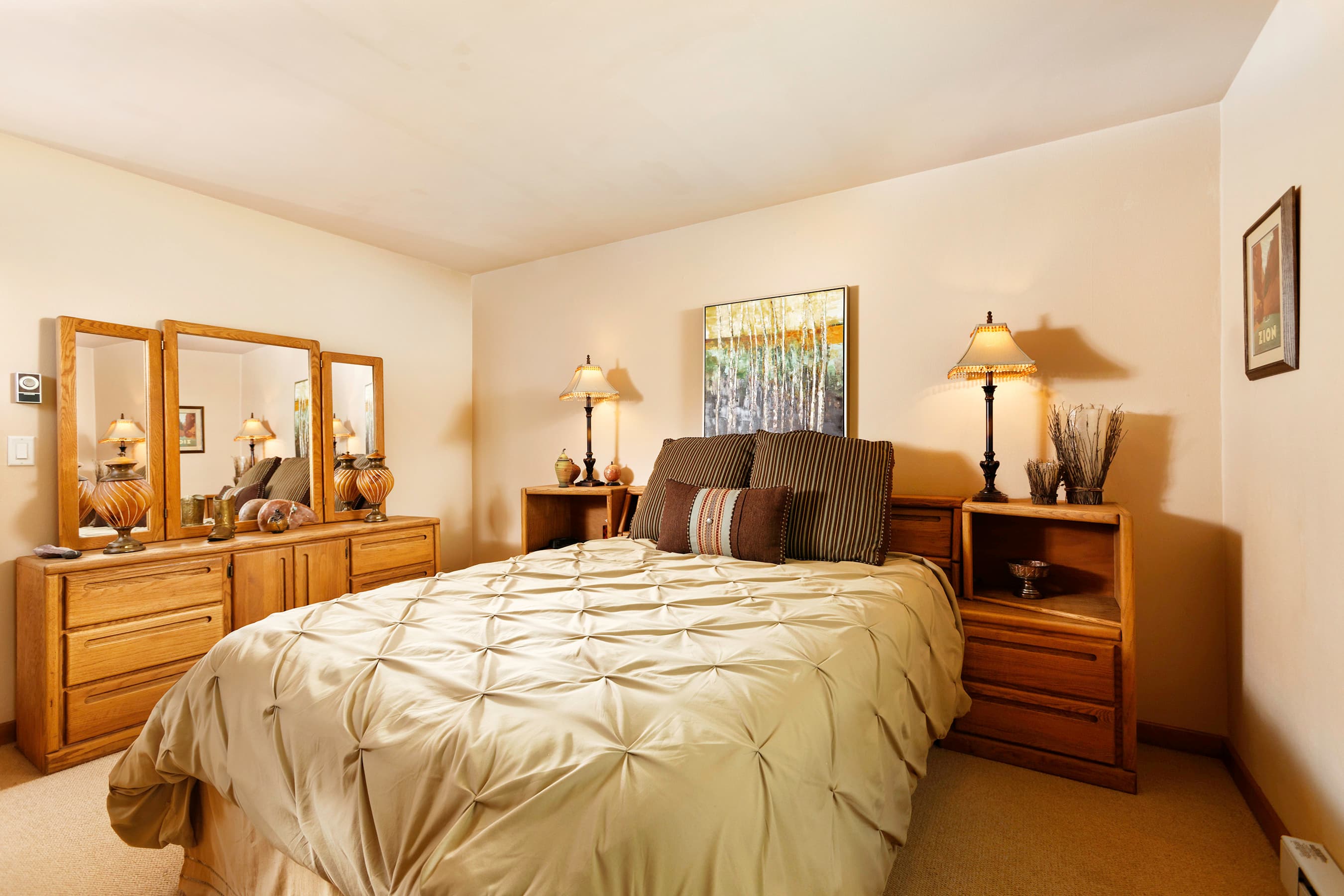 1028 E Hopkins Avenue Unit #24, Aspen, CO 81611 - Photo 17