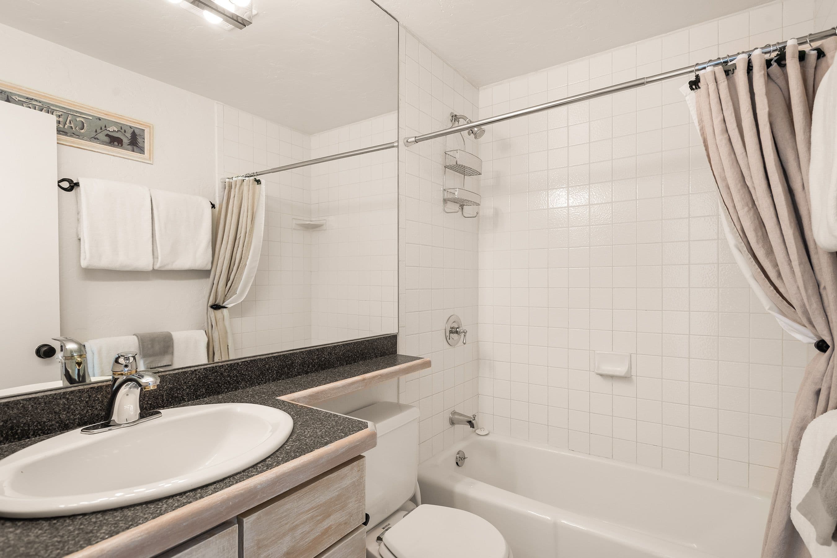 725 E Main Street #305, Aspen, CO 81611 - Photo 5