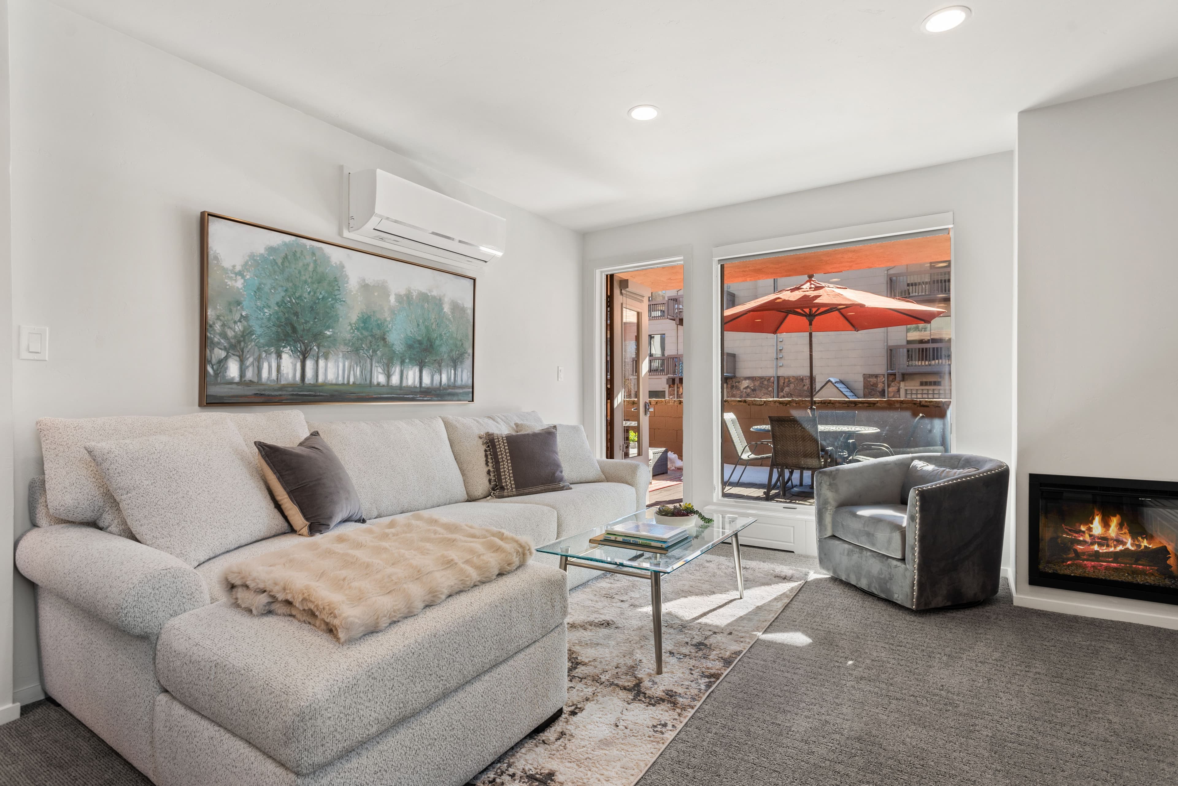 605 E Main Street #7, Aspen, CO 81611 - Photo 1