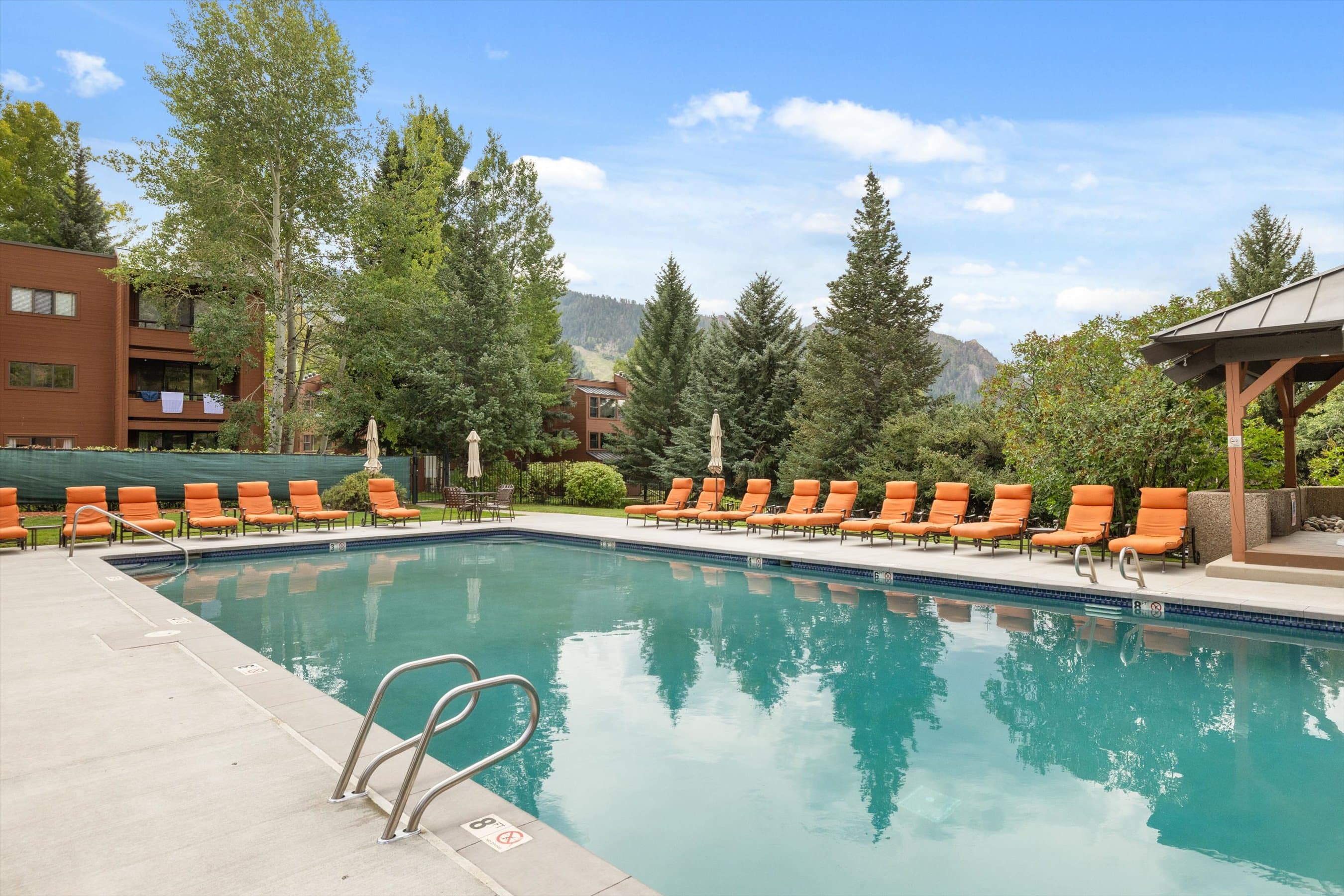 950 Vine Street, Aspen, CO 81611 - Photo 4