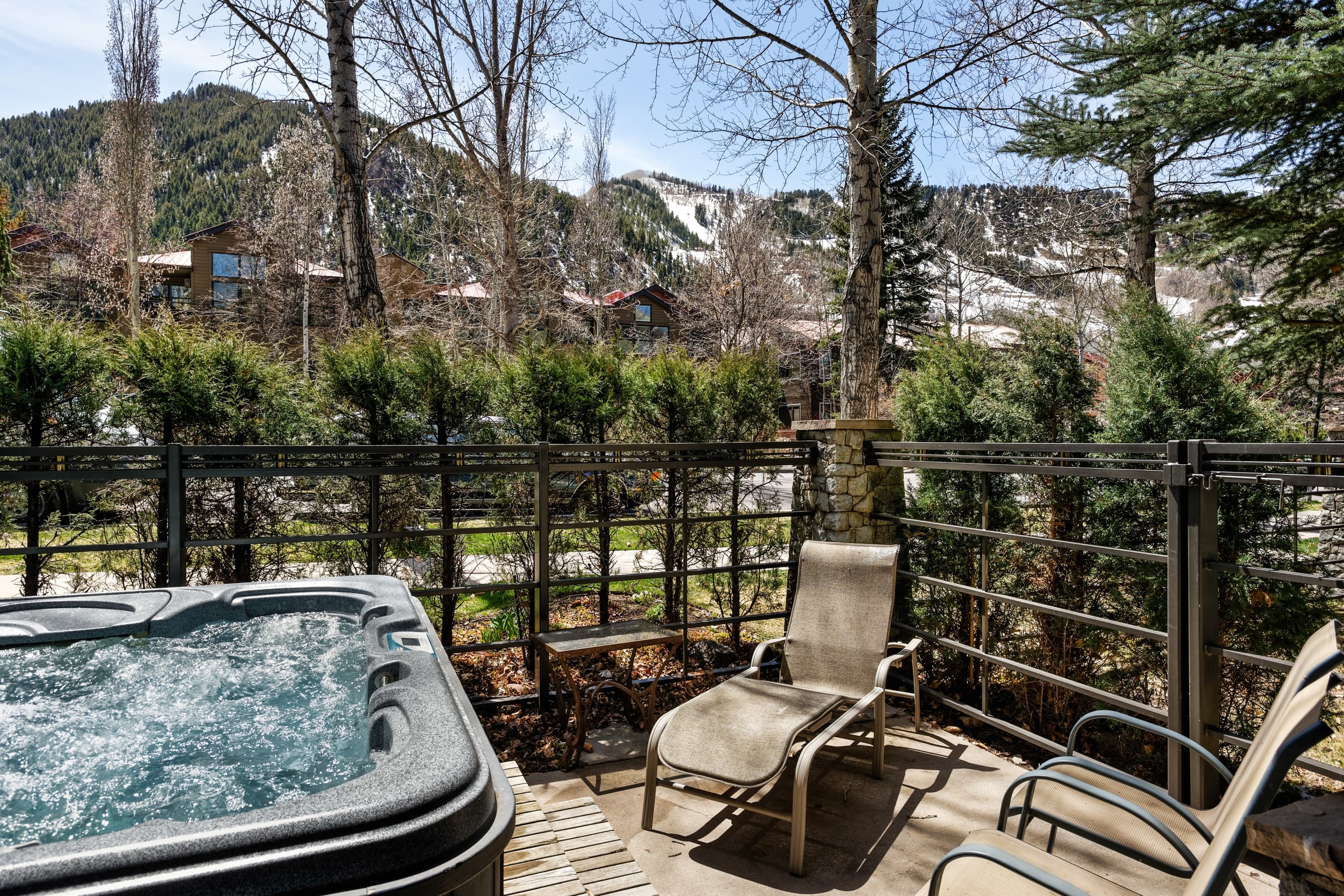 926 E Durant Avenue Unit 3, Aspen, CO 81611 - Photo 11
