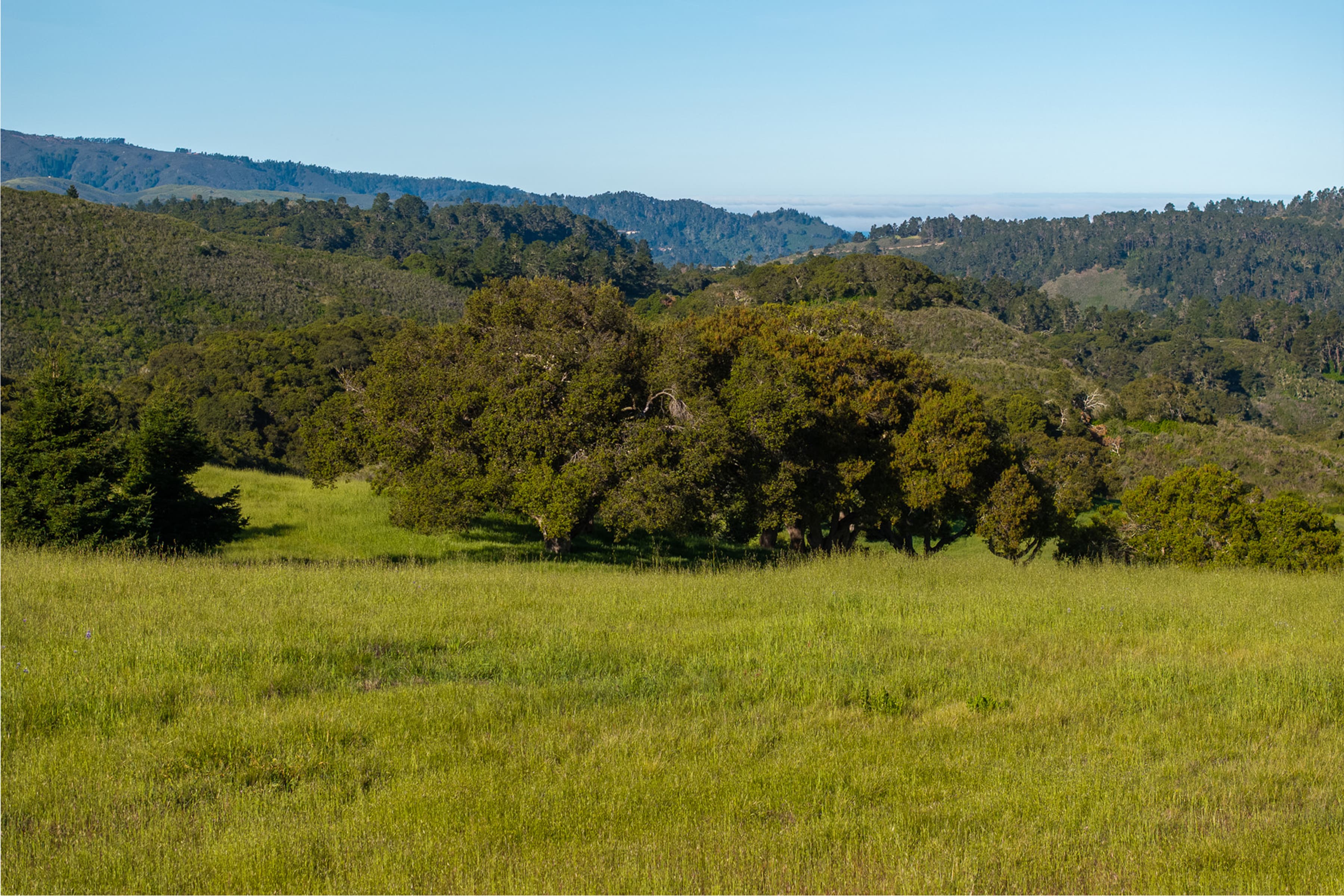 25825 Via Malpaso (Lot 68) - Photo 6
