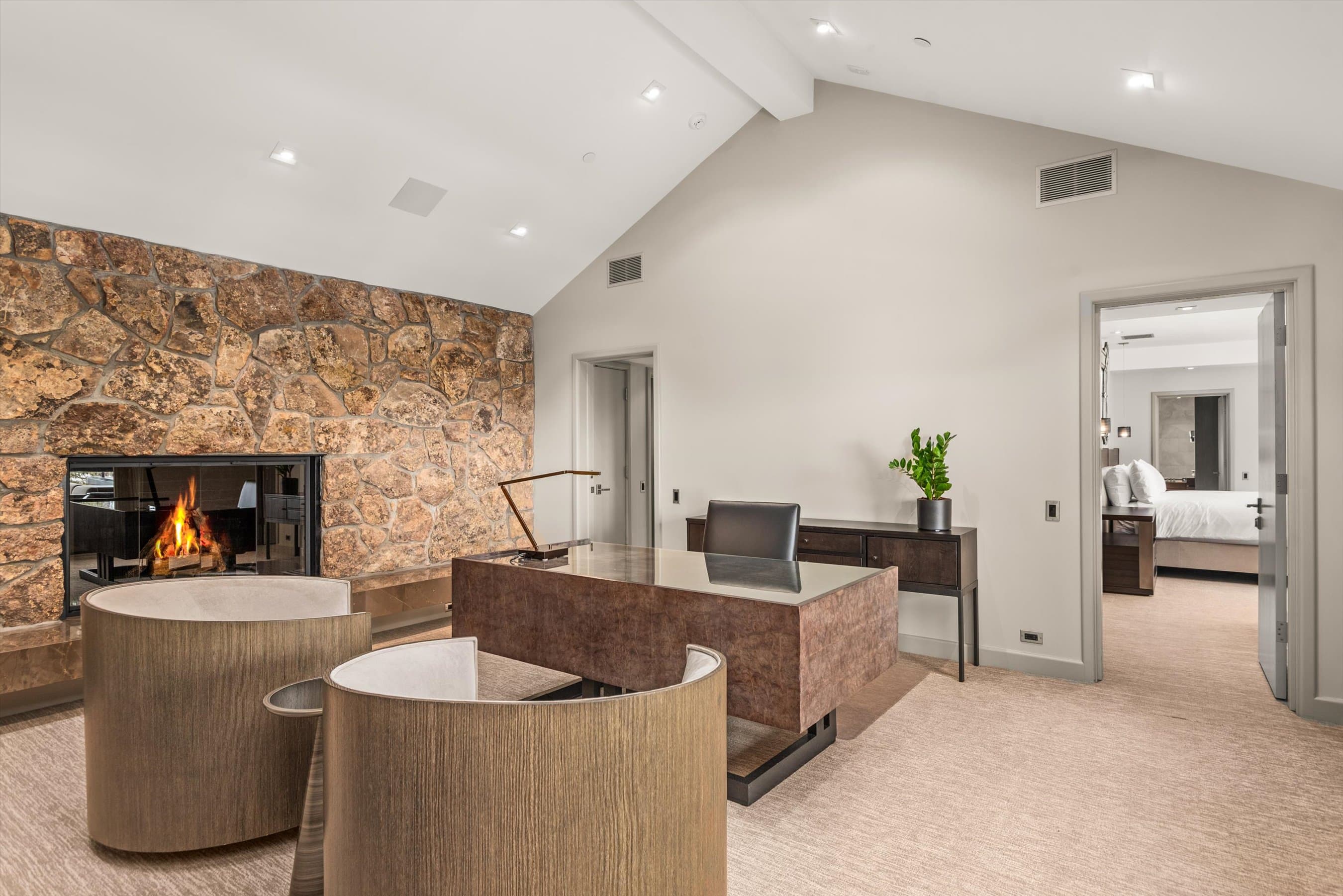 730 S Galena Street, Aspen, CO 81611 - Photo 9