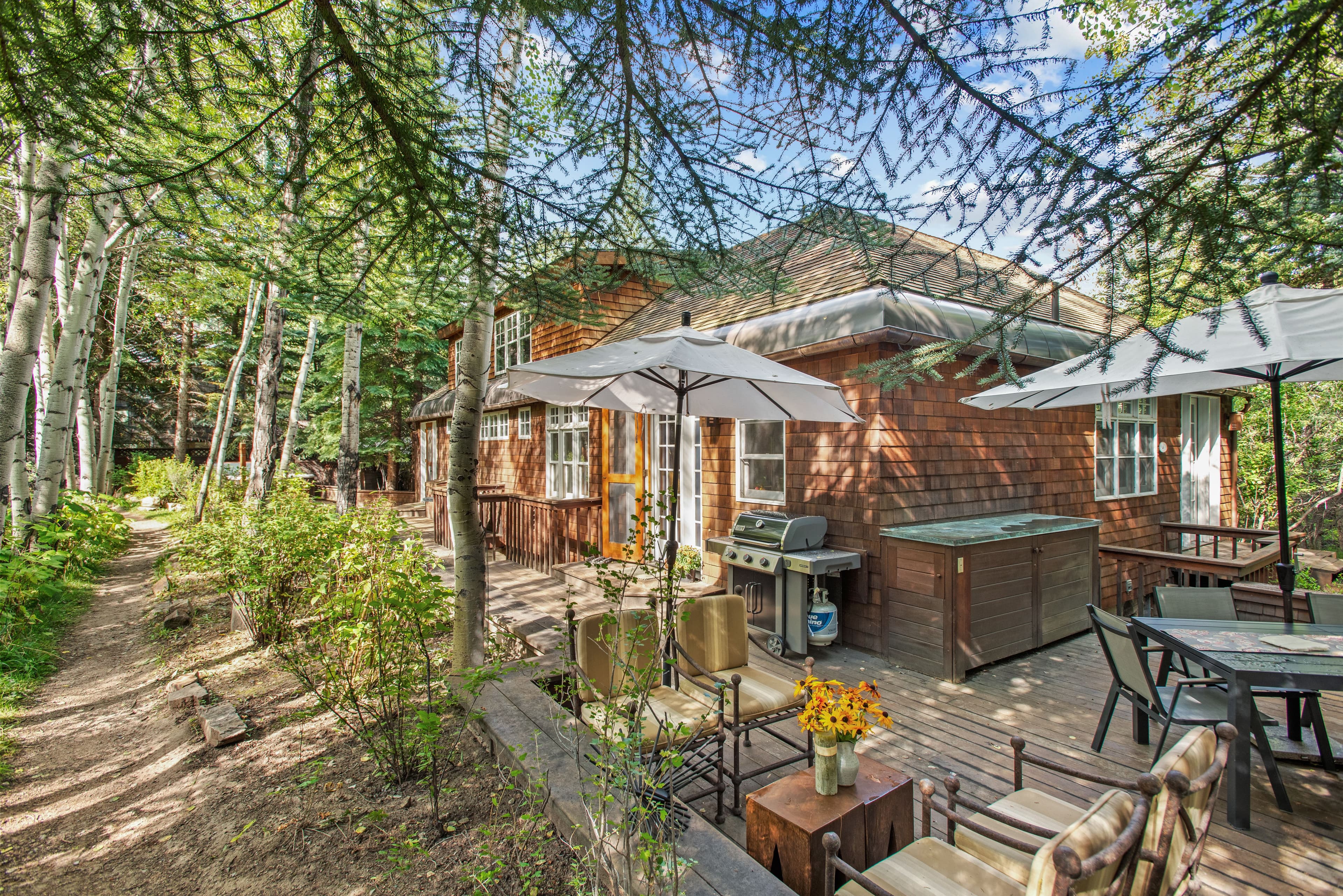 66 Alpine Court, Aspen, CO 81611 - Photo 21