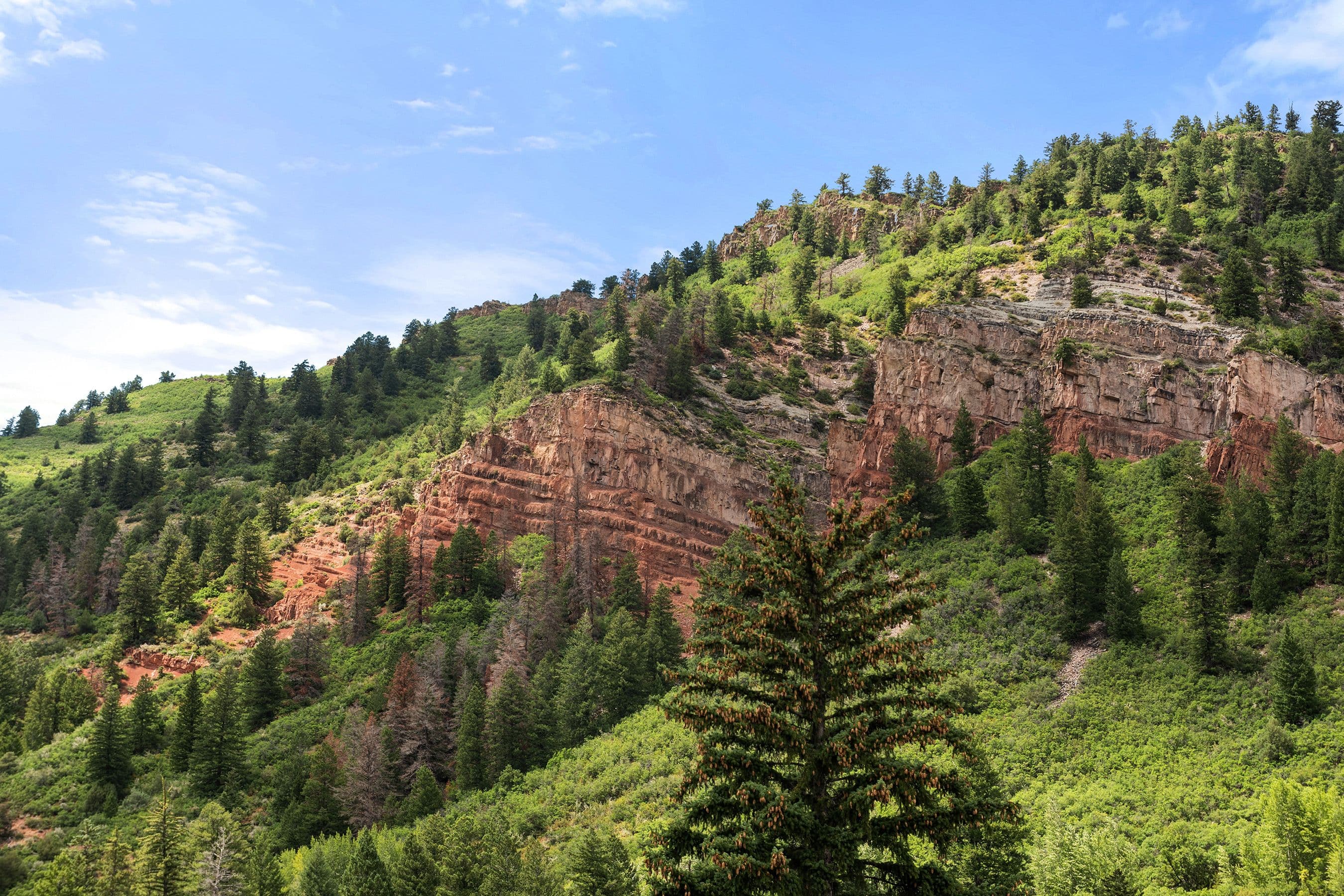 83 Exhibition Lane, Aspen, CO 81611 - Photo 30