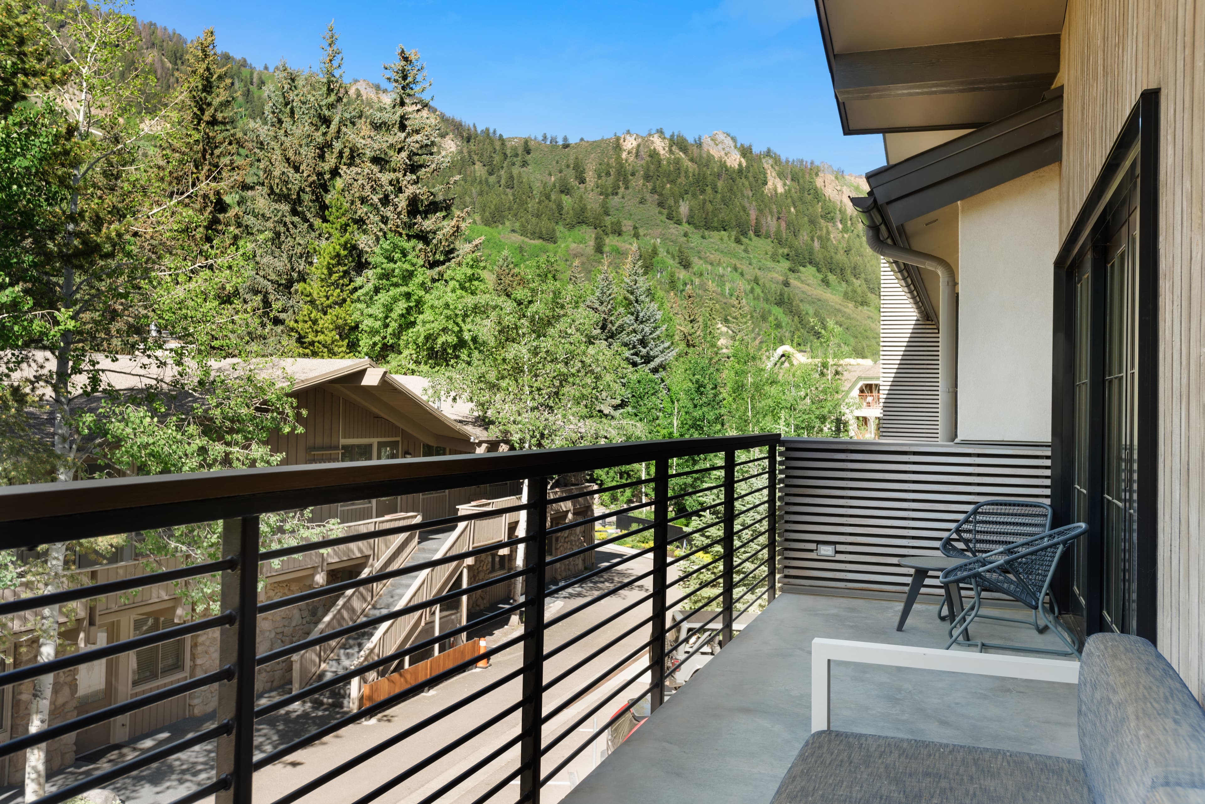 550 S Spring Street 392, Aspen, CO 81611 - Photo 23