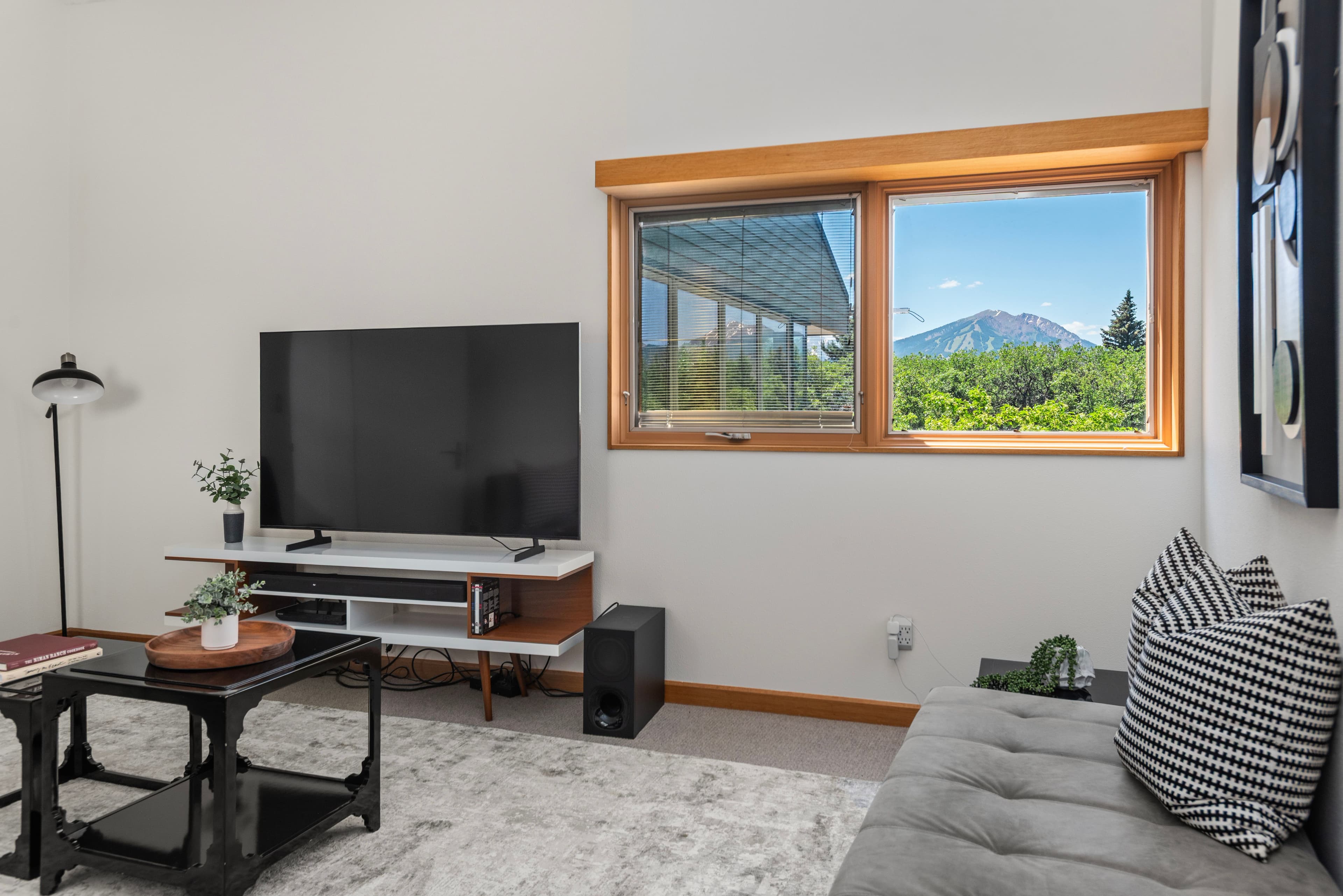 623 Johnson Drive, Aspen, CO 81611 - Photo 5