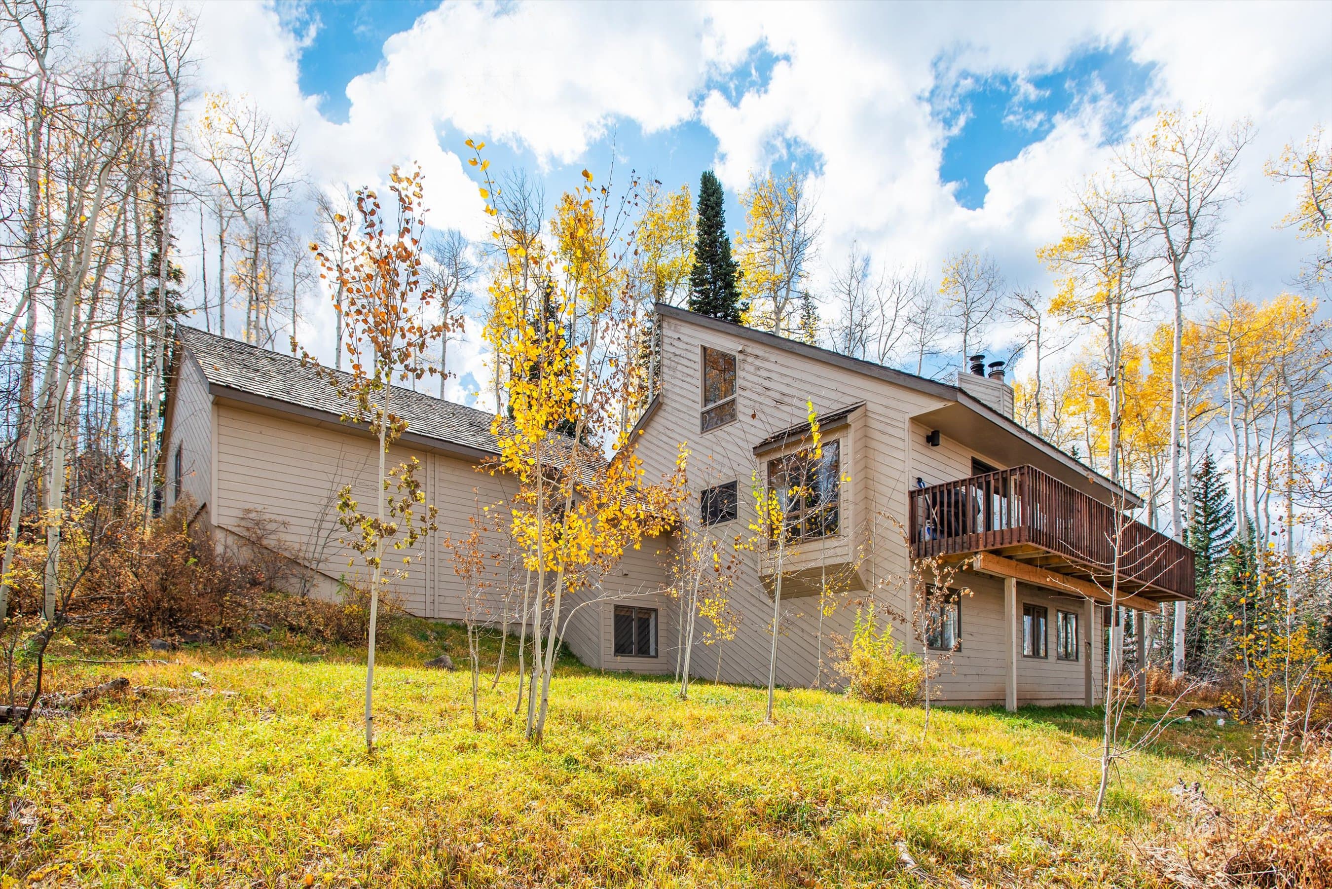 2055 Faraway Road, Snowmass Village, CO 81615 - Photo 19