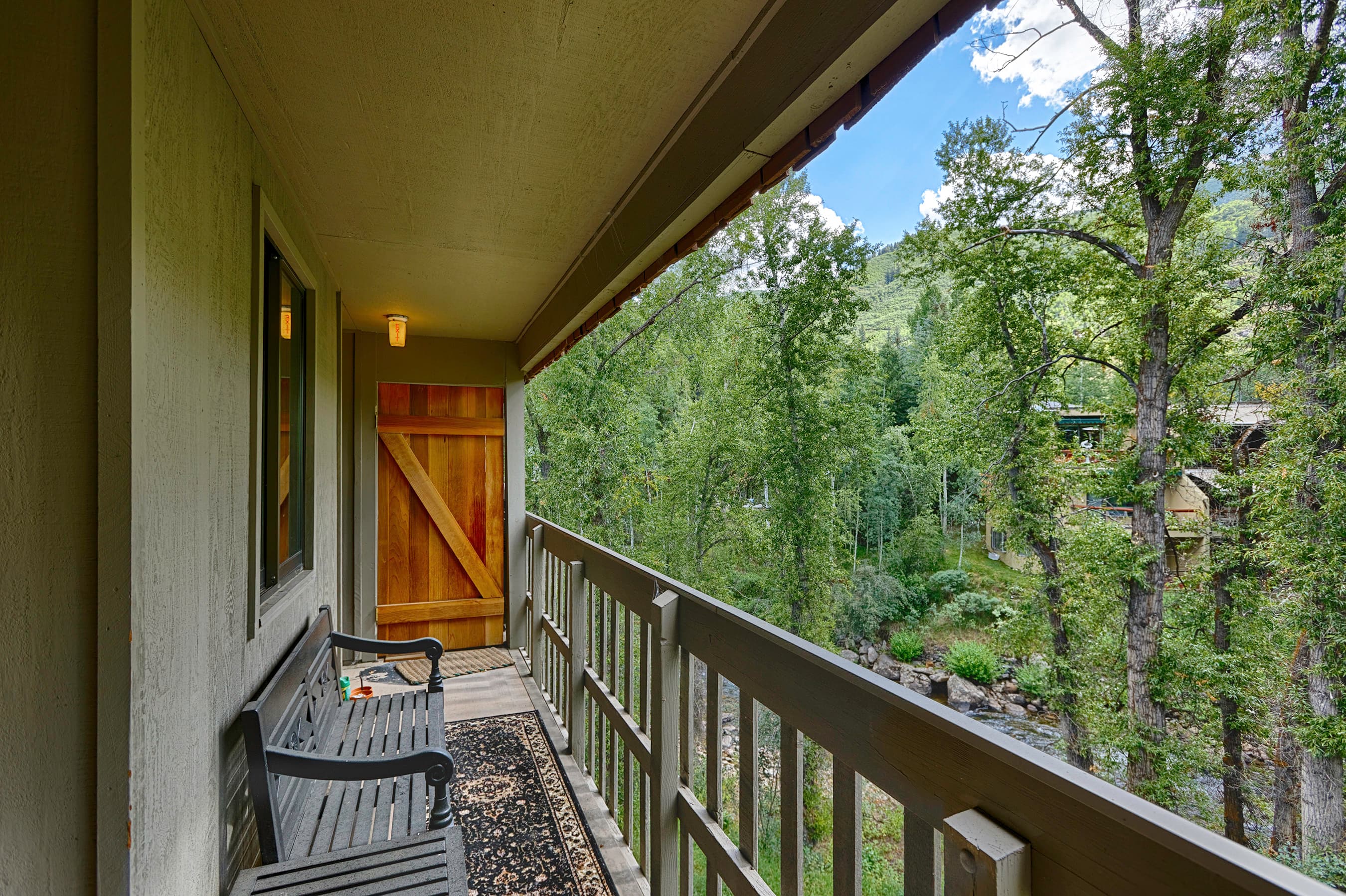 1028 E Hopkins Avenue Unit #24, Aspen, CO 81611 - Photo 5