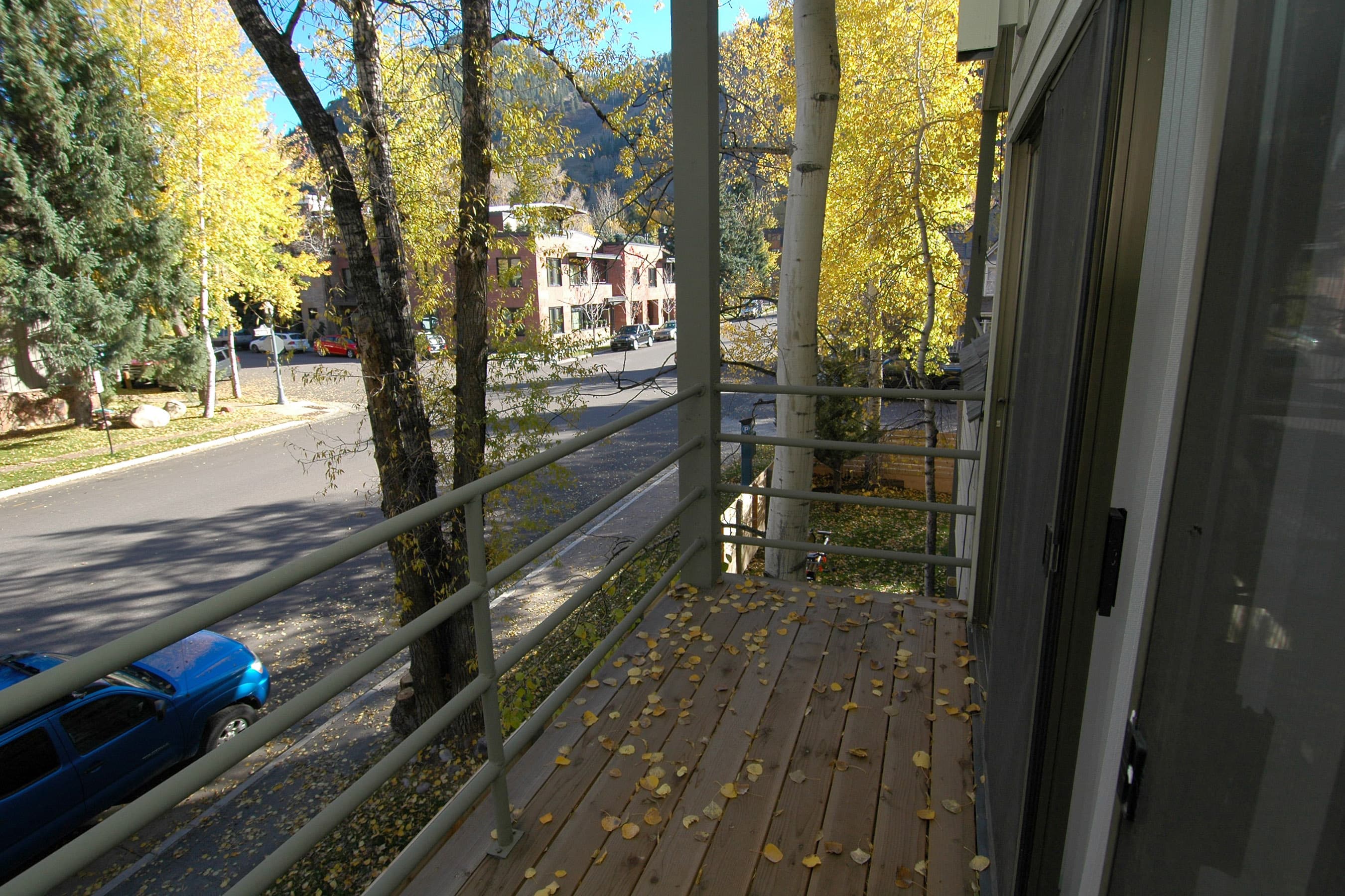 311 S Aspen Street Unit 6, Aspen, CO 81611 - Photo 12