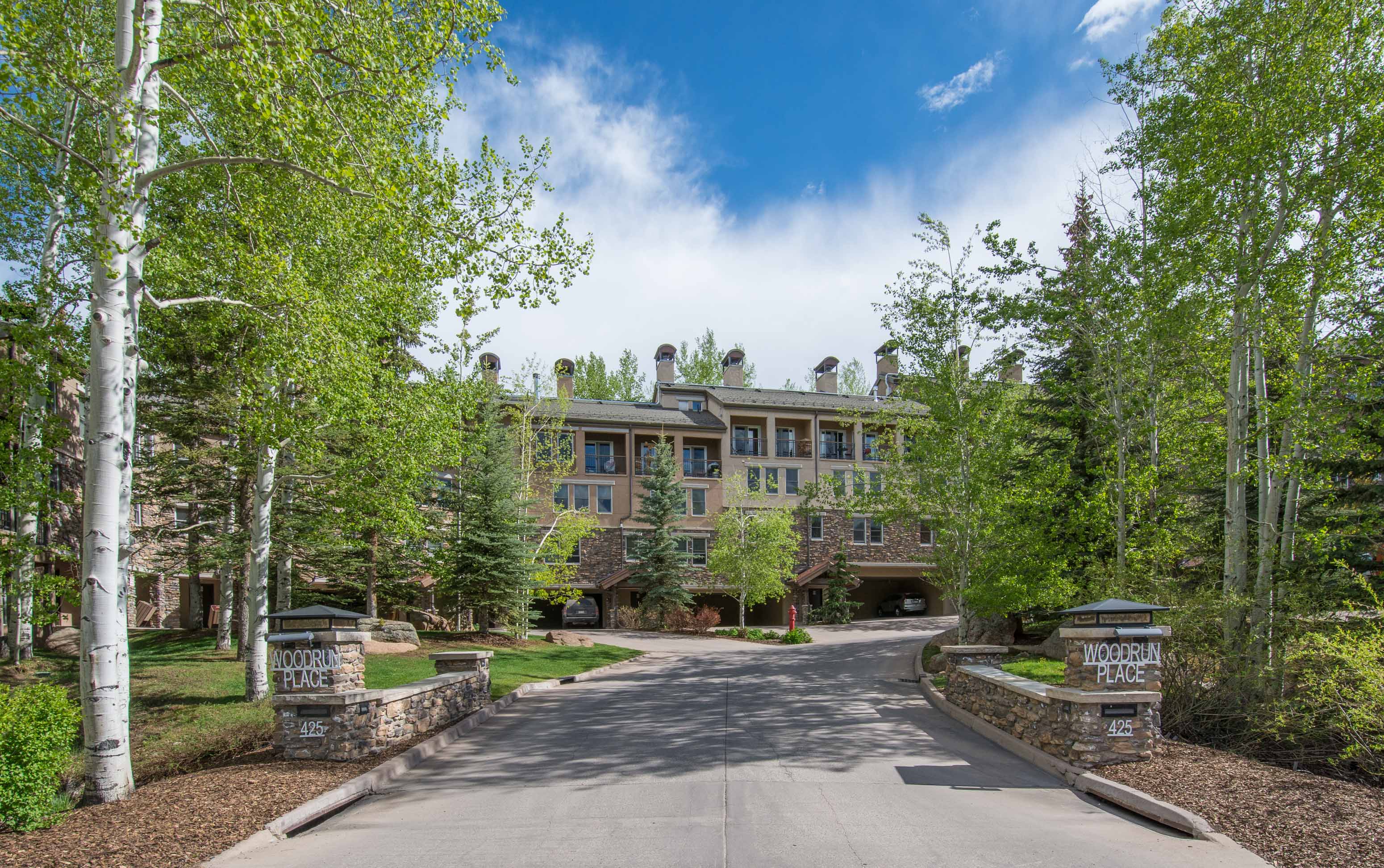 425 Wood Road 48, Snowmass Village, CO 81615 - Photo 23
