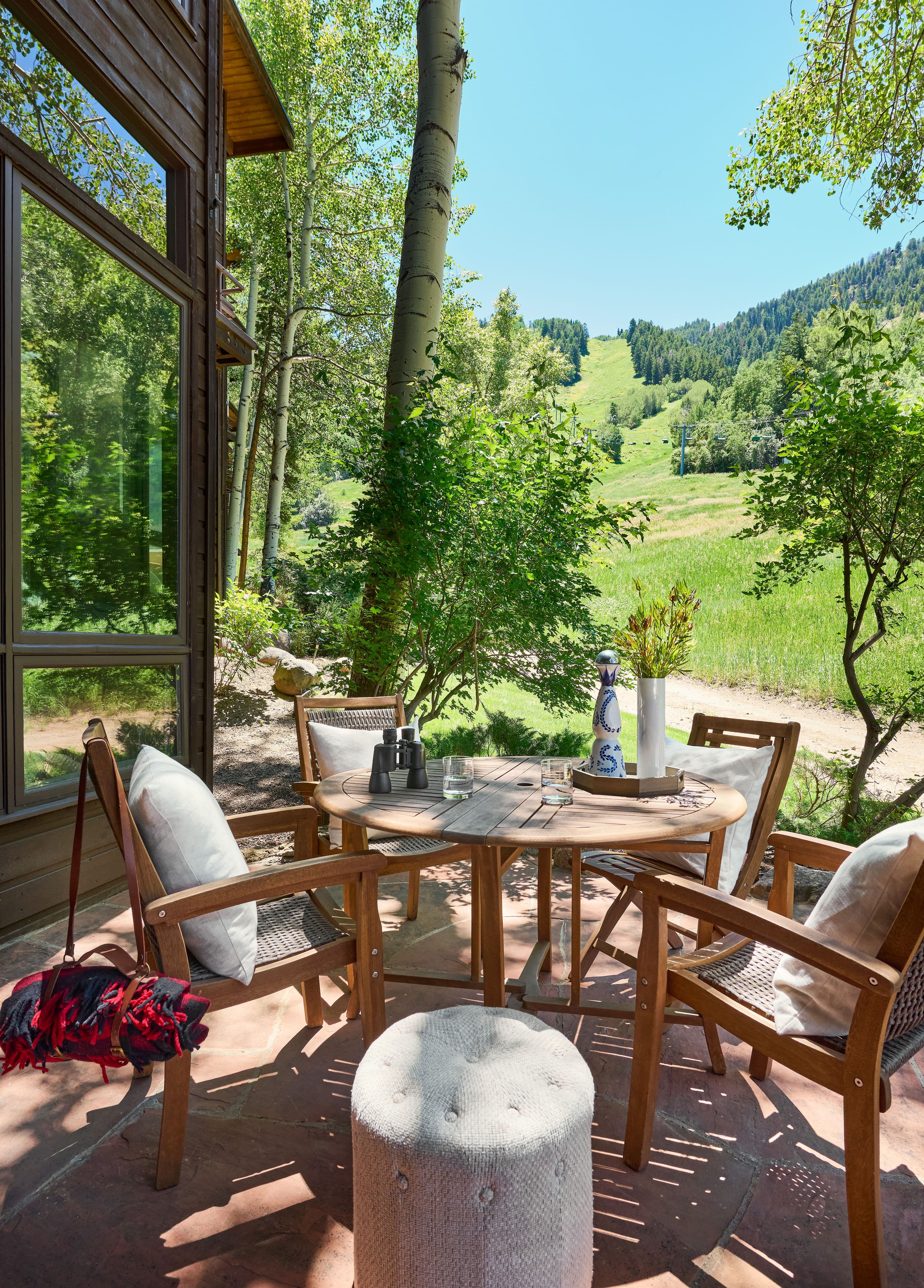 800 S Monarch Street 13, Aspen, CO 81611 - Photo 19