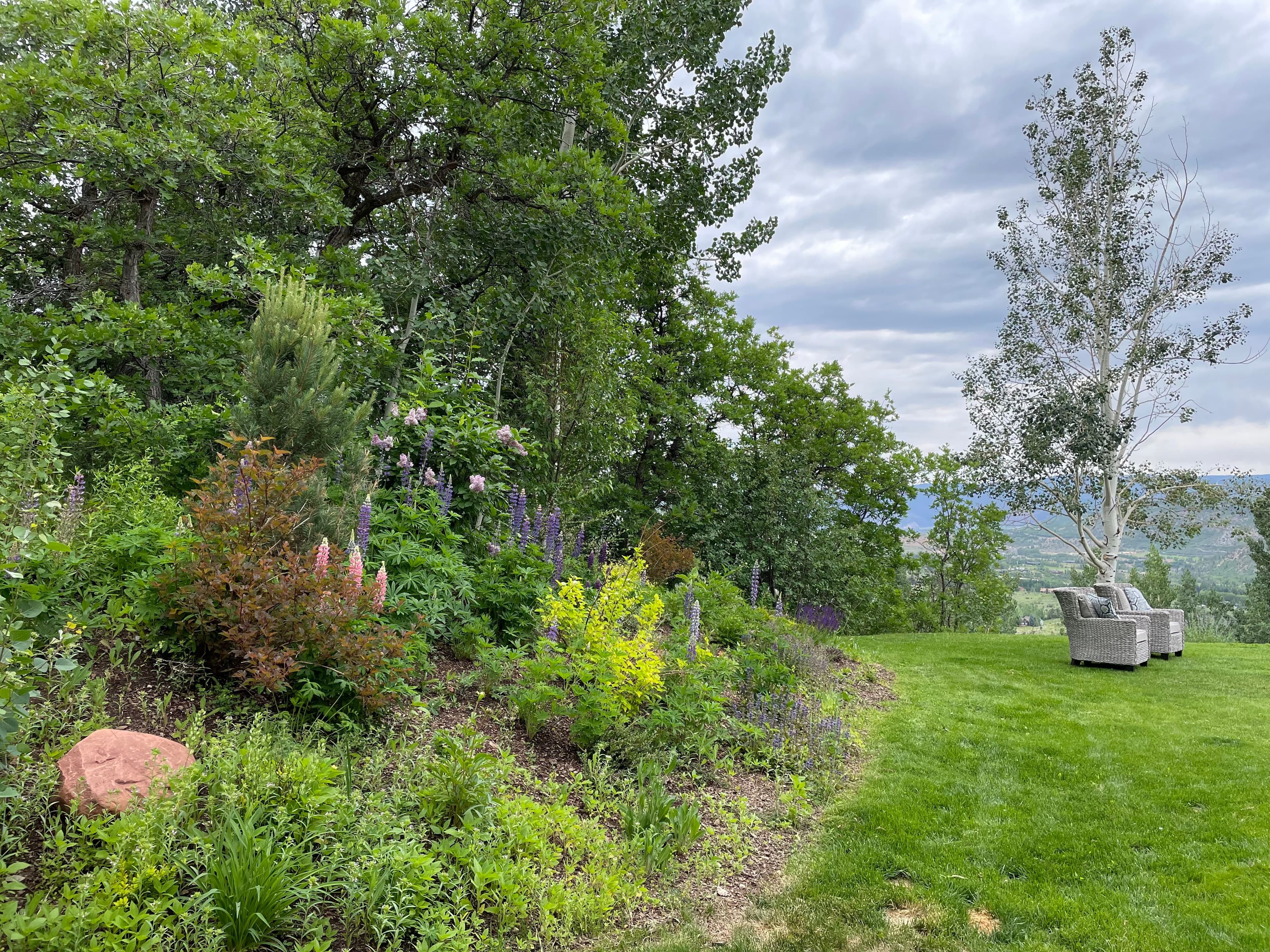 855 Moore Drive, Aspen, CO 81611 - Photo 9