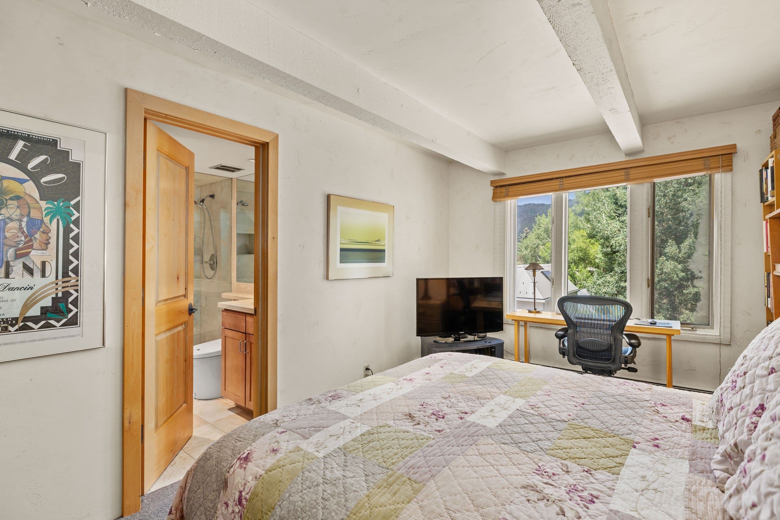 124 W Hyman Avenue 3B, Aspen, CO 81611 - Photo 19