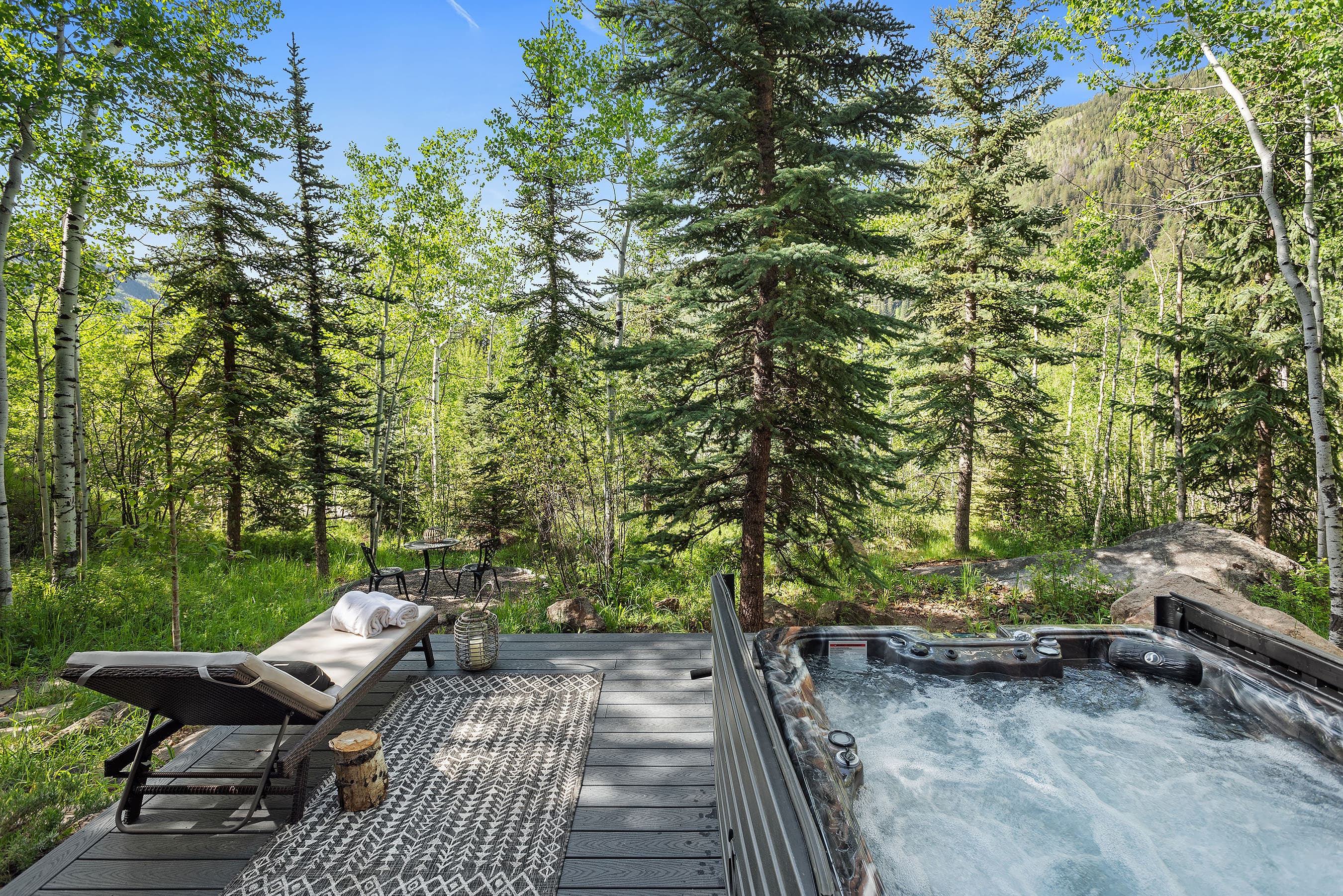 122 Eastwood Drive, Aspen, CO 81611 - Photo 4