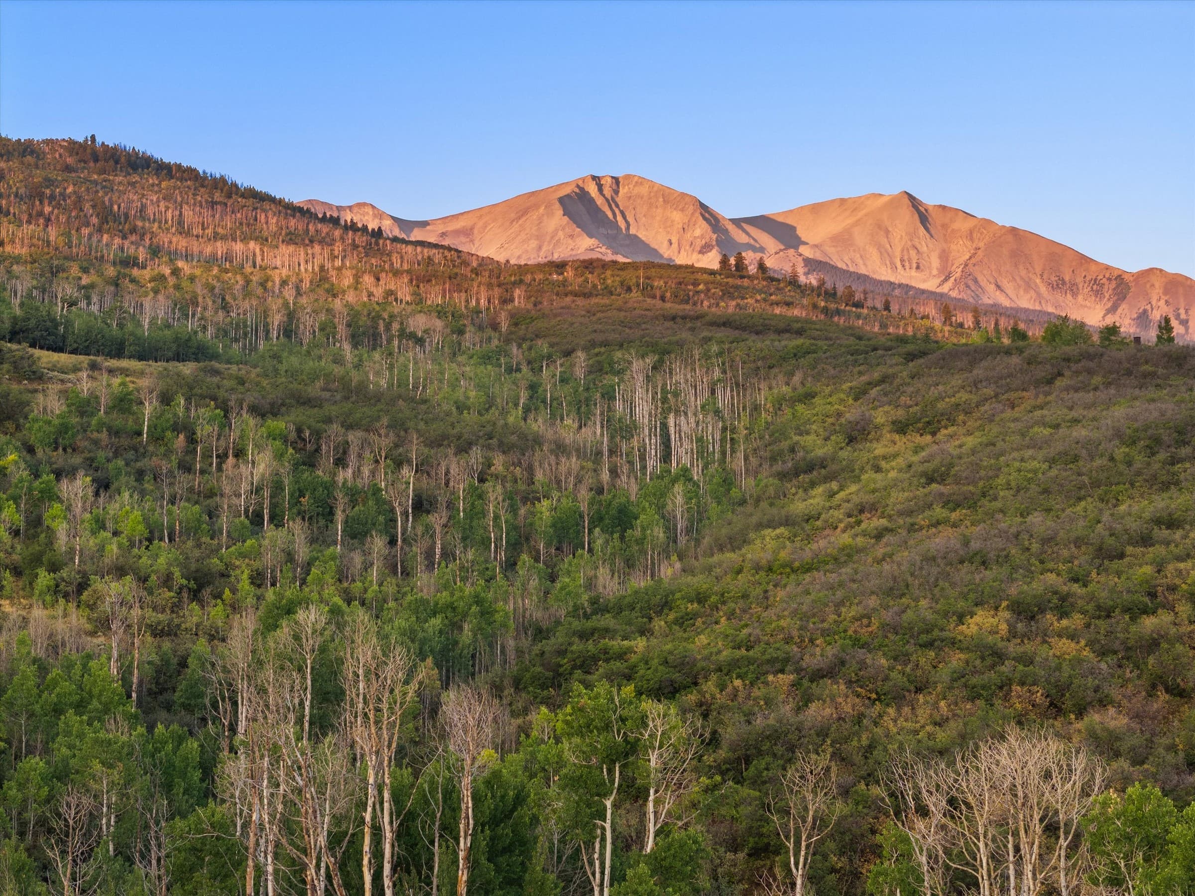 Tbd Old Herron Road, Basalt, CO 81621 - Photo 5
