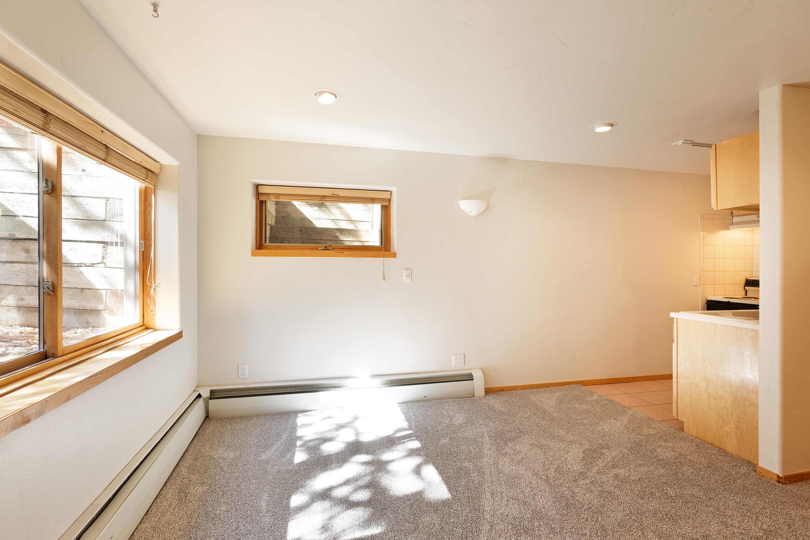 311 Midland Avenue, Aspen, CO 81611 - Photo 5