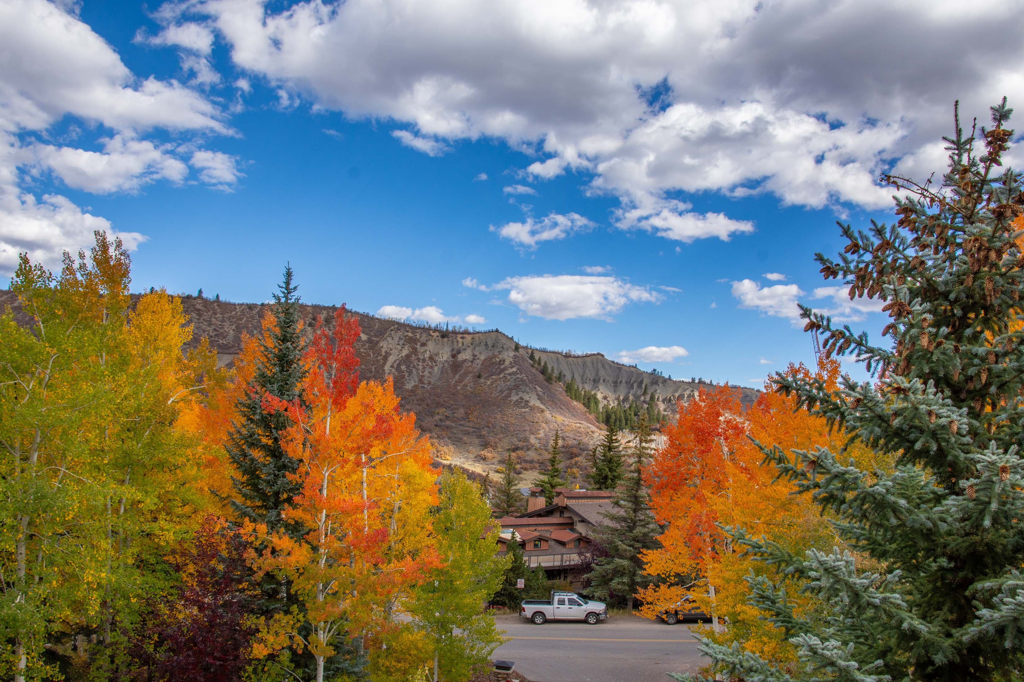 425 Wood Road 10, Snowmass Village, CO 81615 - Photo 17
