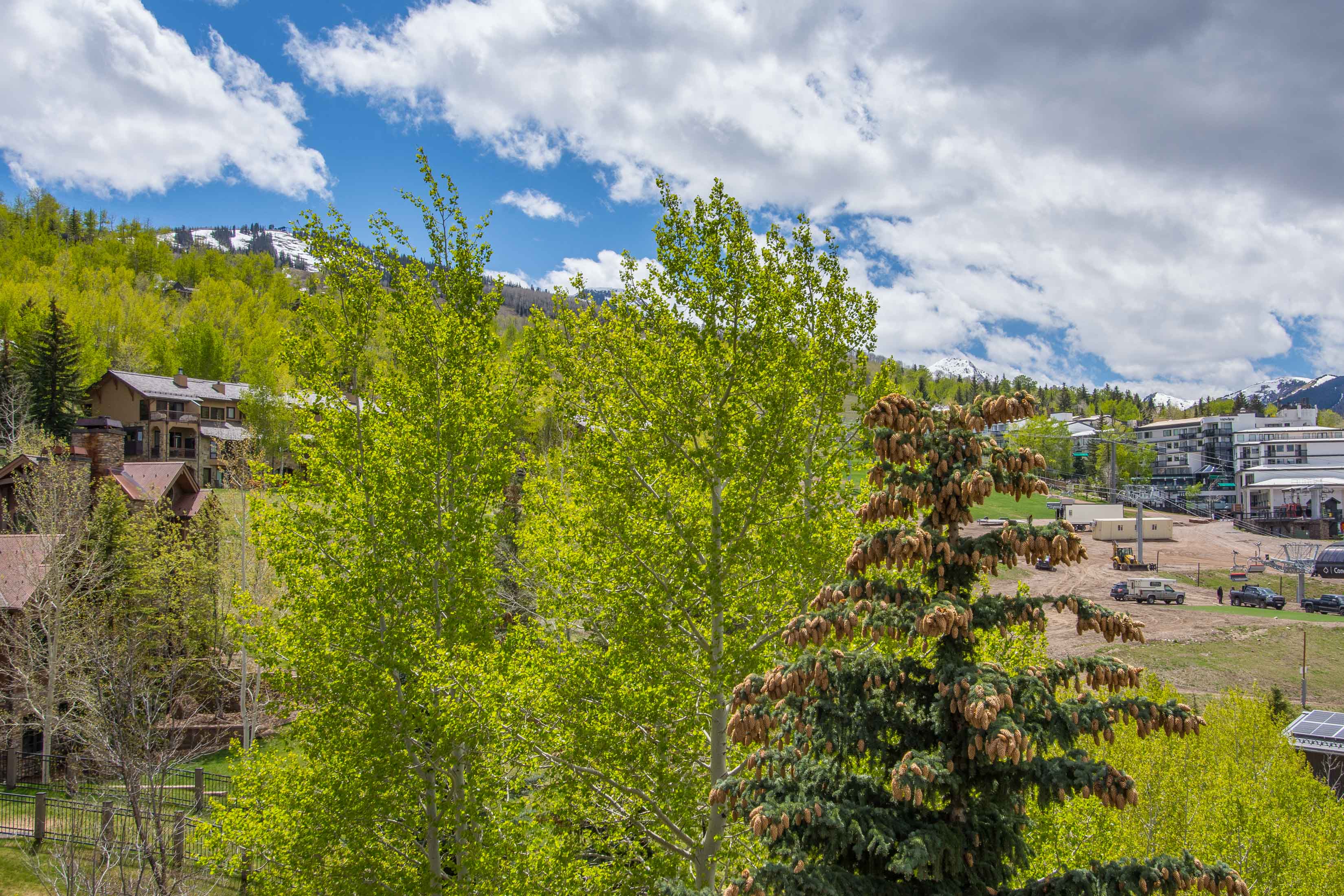 425 Wood Road 48, Snowmass Village, CO 81615 - Photo 4