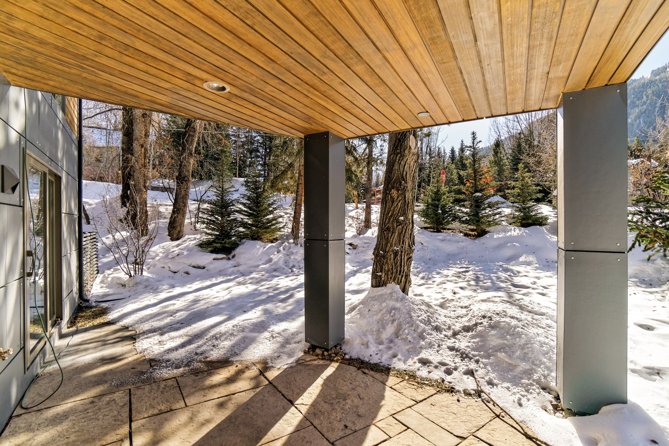 100 Park Avenue, Aspen, CO 81611 - Photo 18