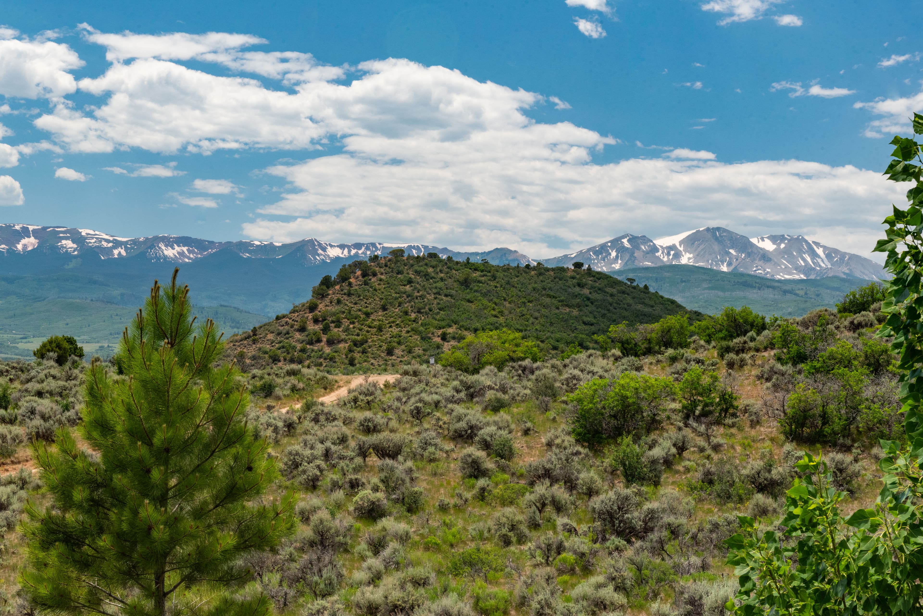 614 Light Hill Road, Snowmass, CO 81654 - Photo 18