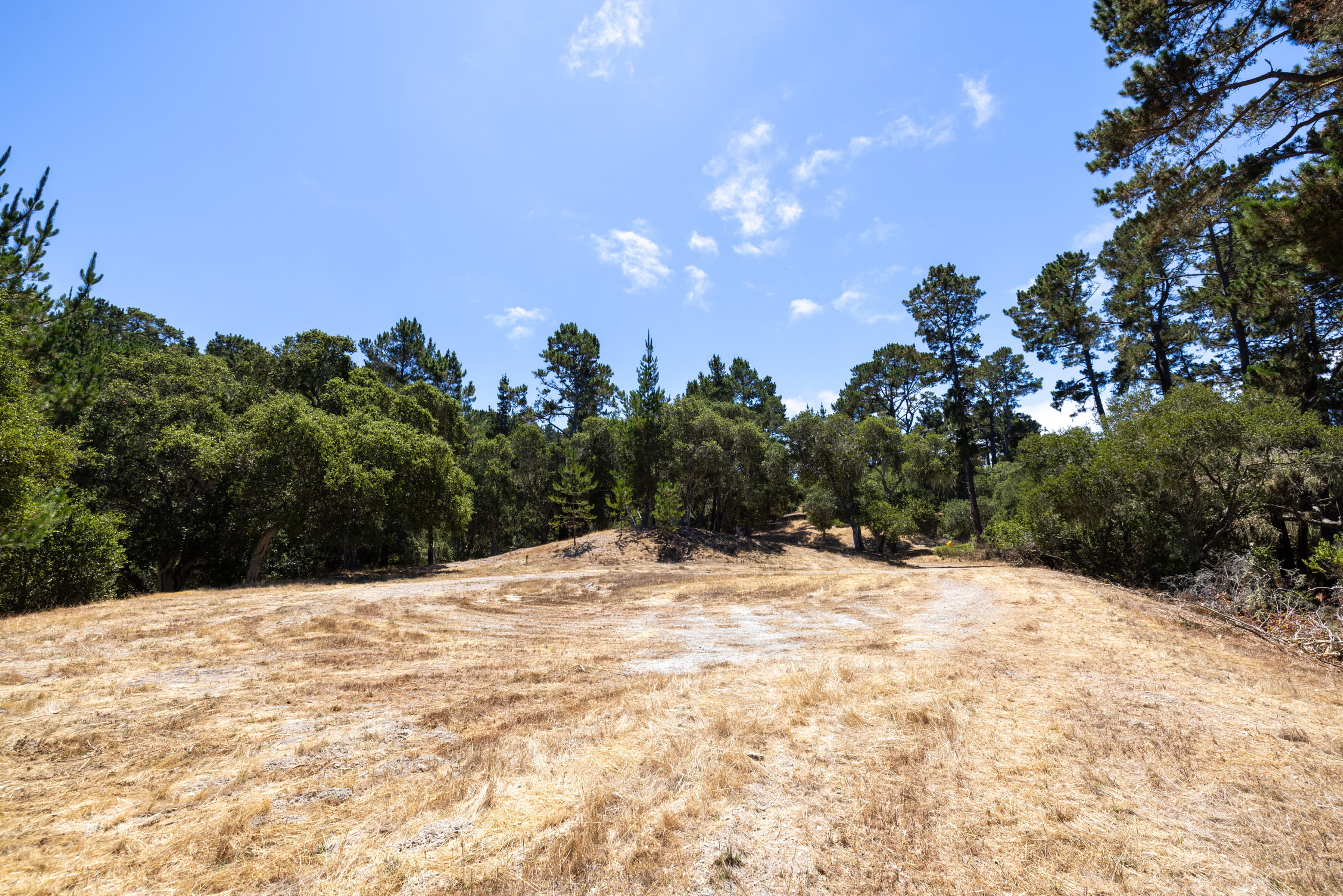0 Paseo Venado (Lot 116) - Photo 8