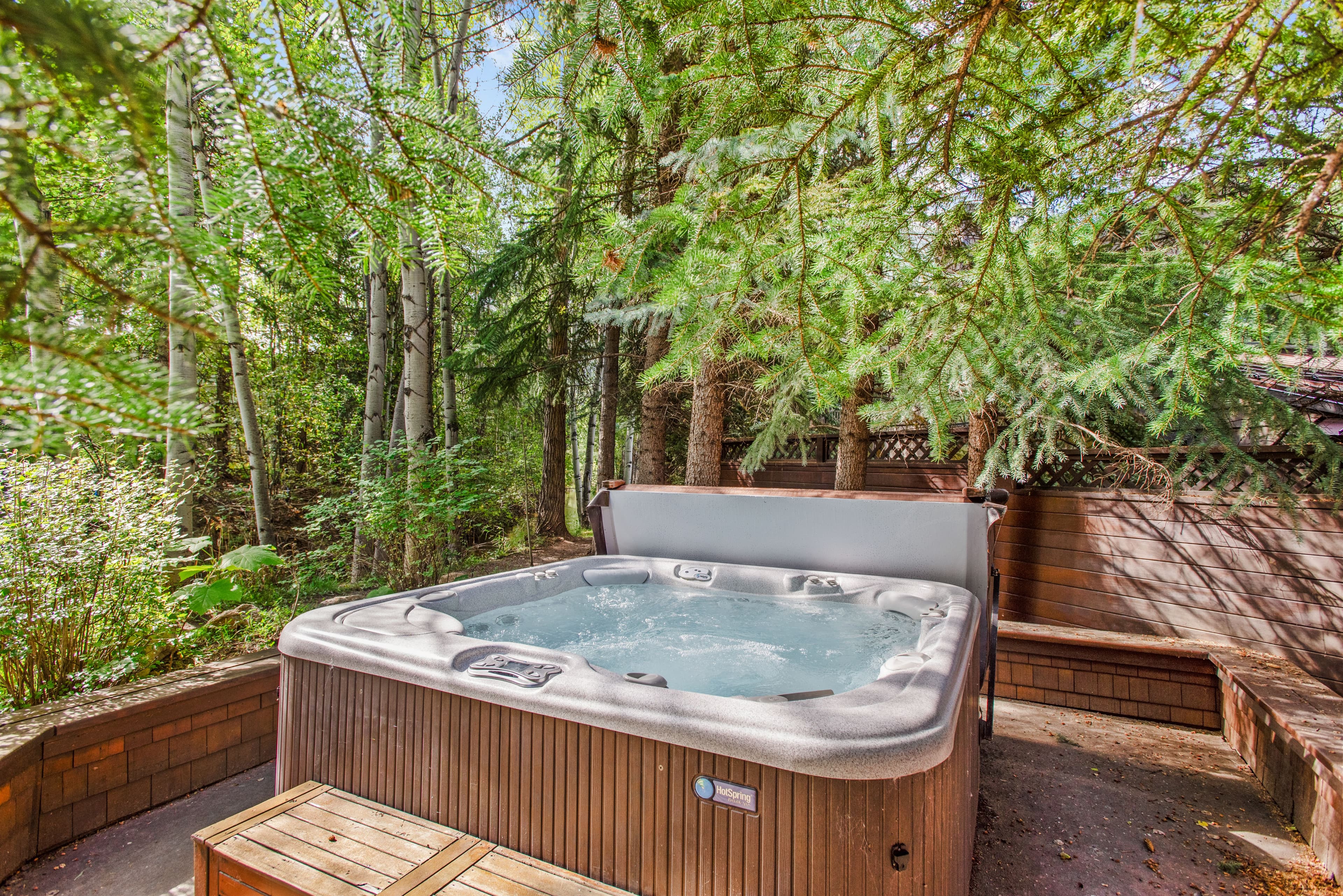 66 Alpine Court, Aspen, CO 81611 - Photo 10