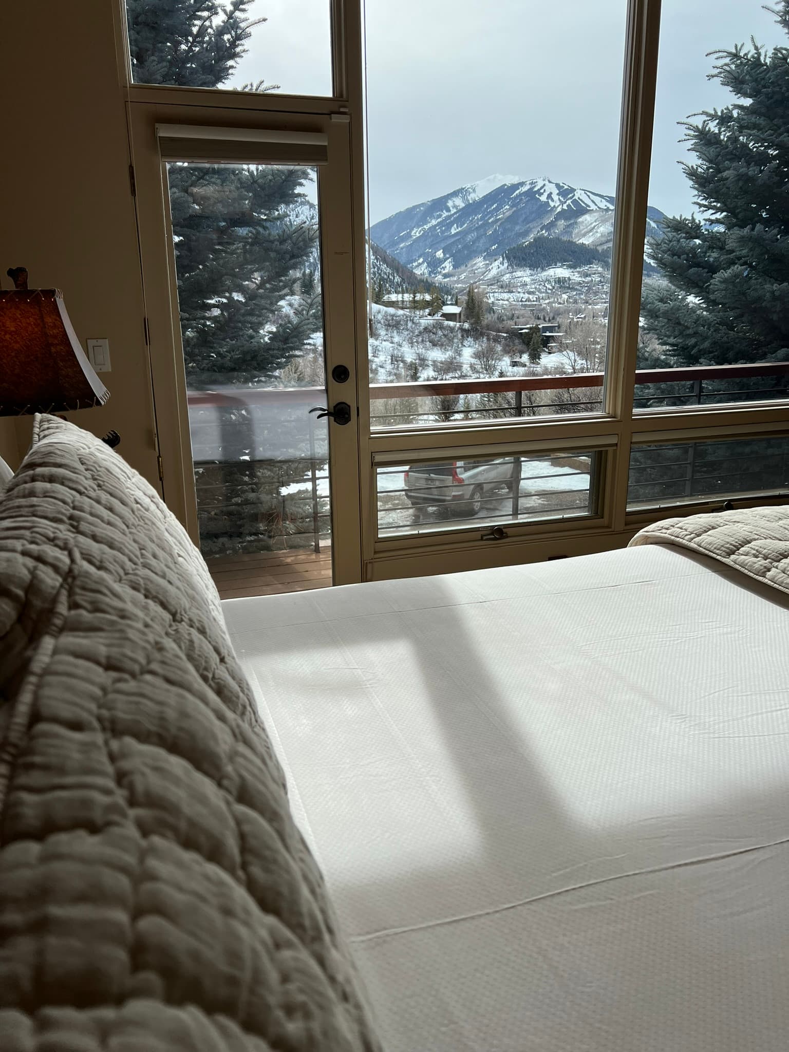 185 Nighthawk Drive, Aspen, CO 81611 - Photo 9