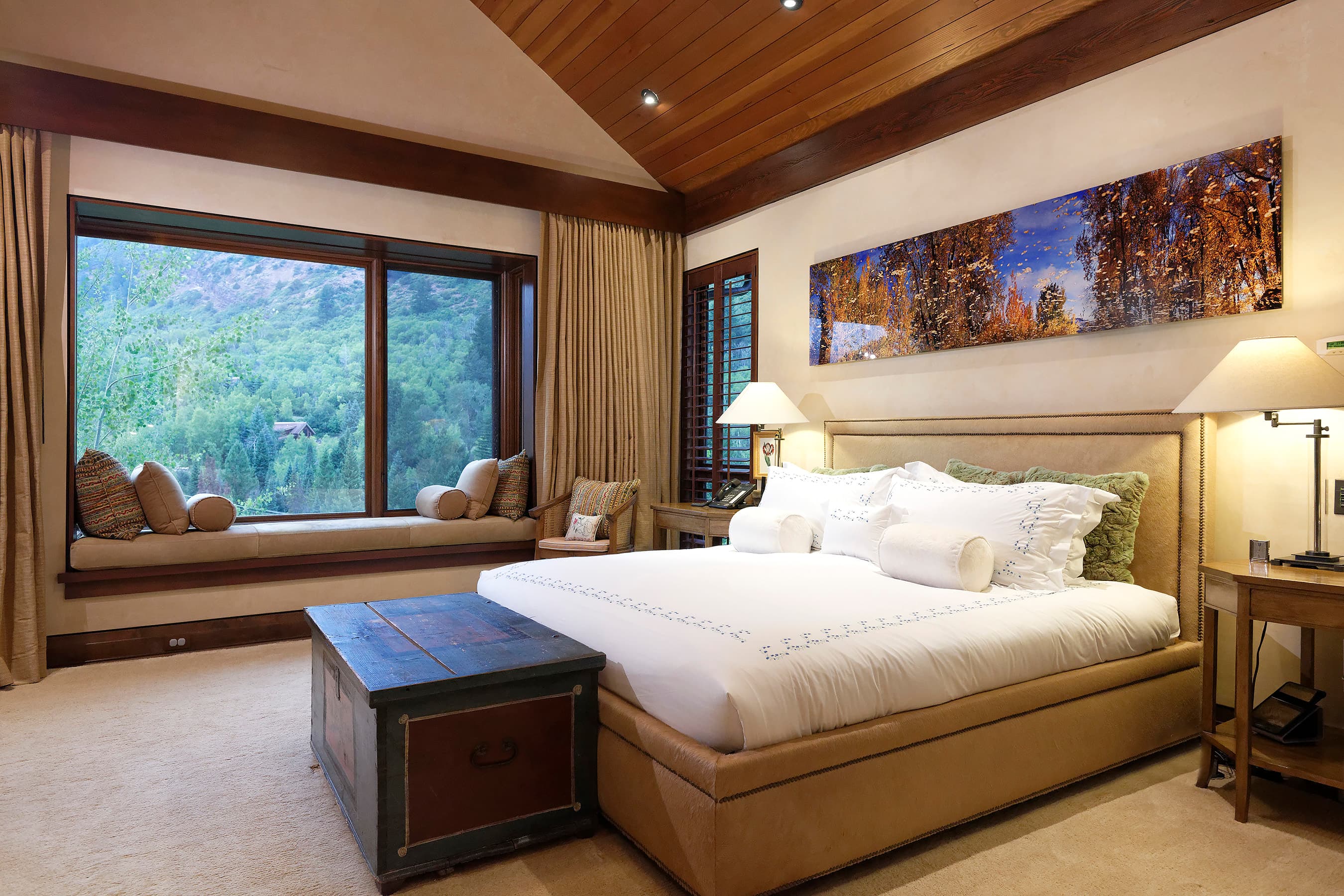 105 Exhibition Lane, Aspen, CO 81611 - Photo 38