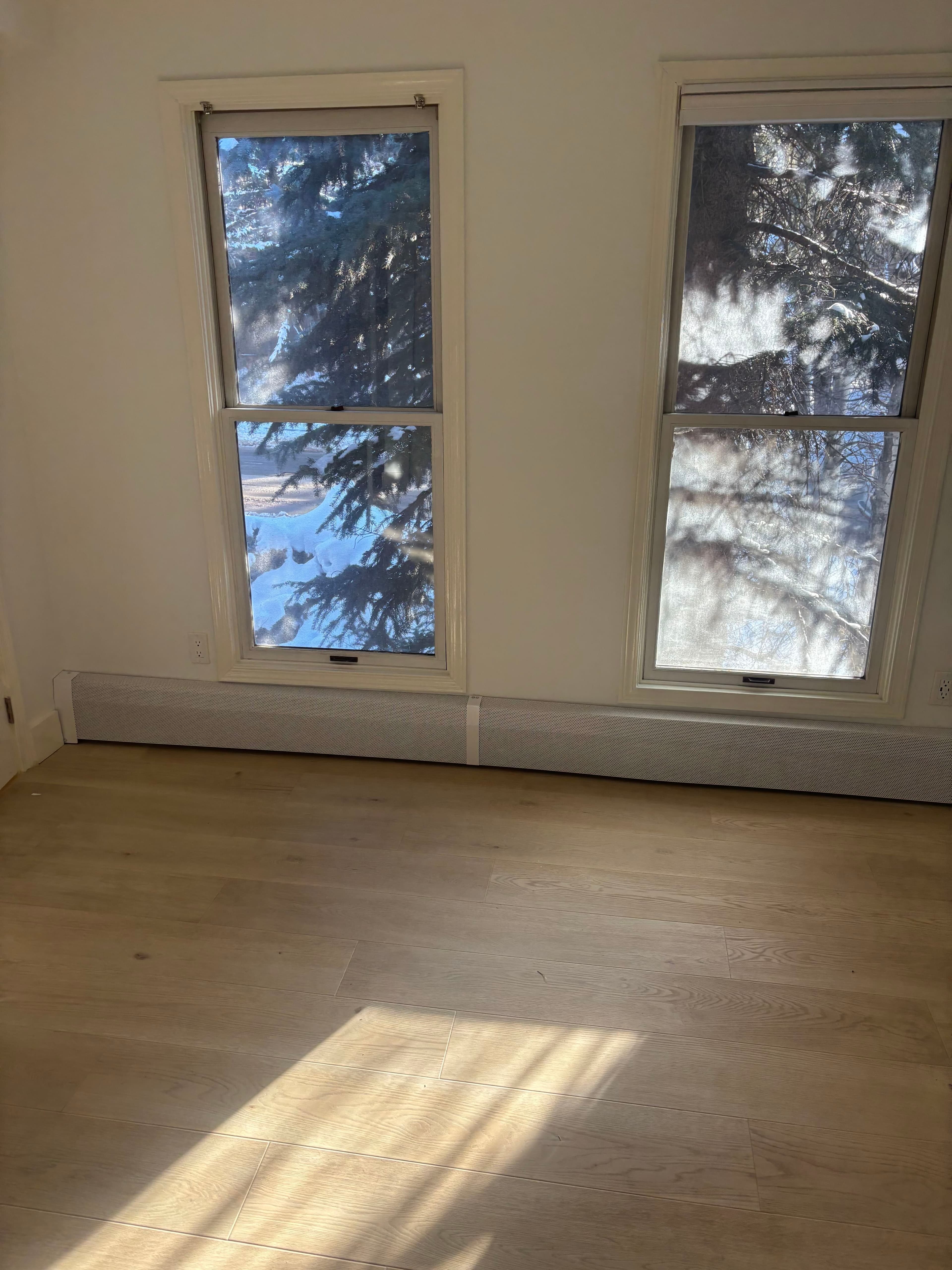 910 W Hallam Street 12, Aspen, CO 81611 - Photo 9