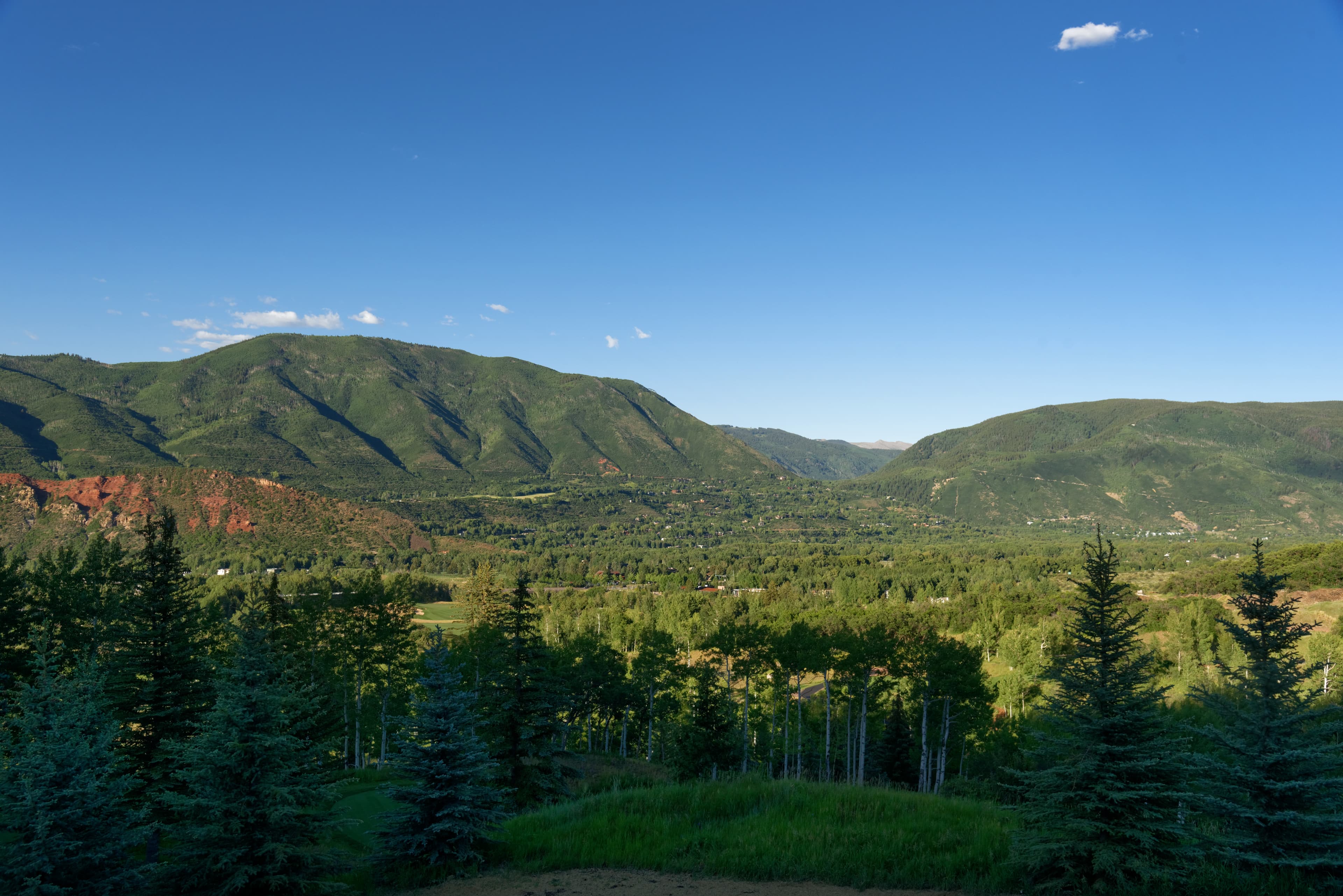 651 Pfister Drive, Aspen, CO 81611 - Photo 9