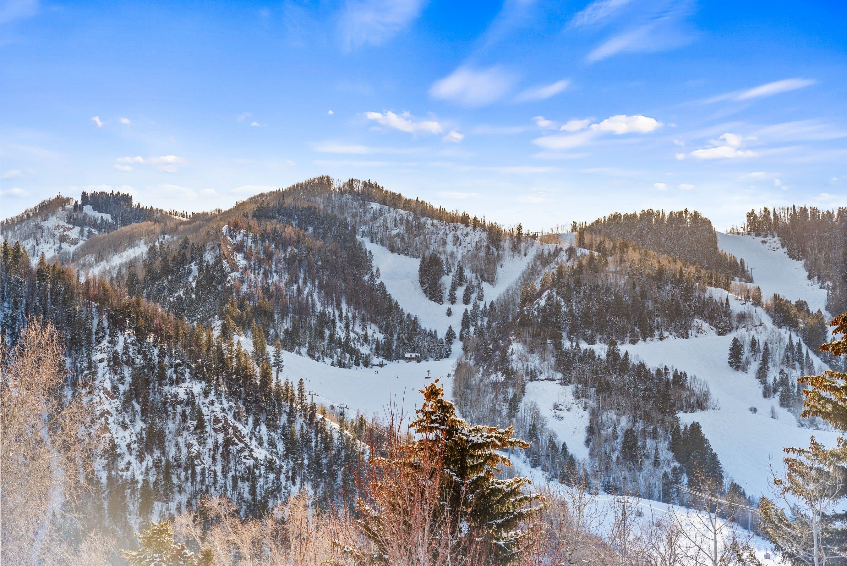 990 E Hopkins Avenue, Aspen, CO 81611 - Photo 49