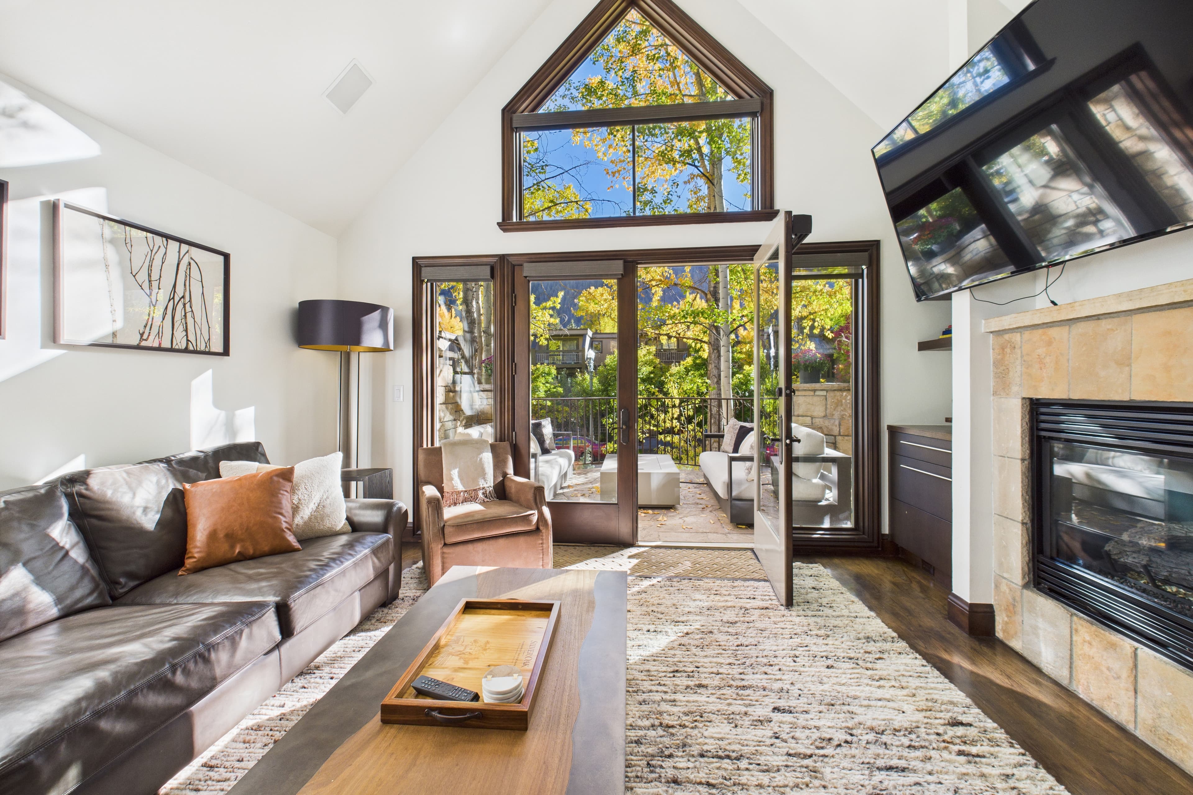 910 E Cooper Avenue, Aspen, CO 81611 - Photo 12