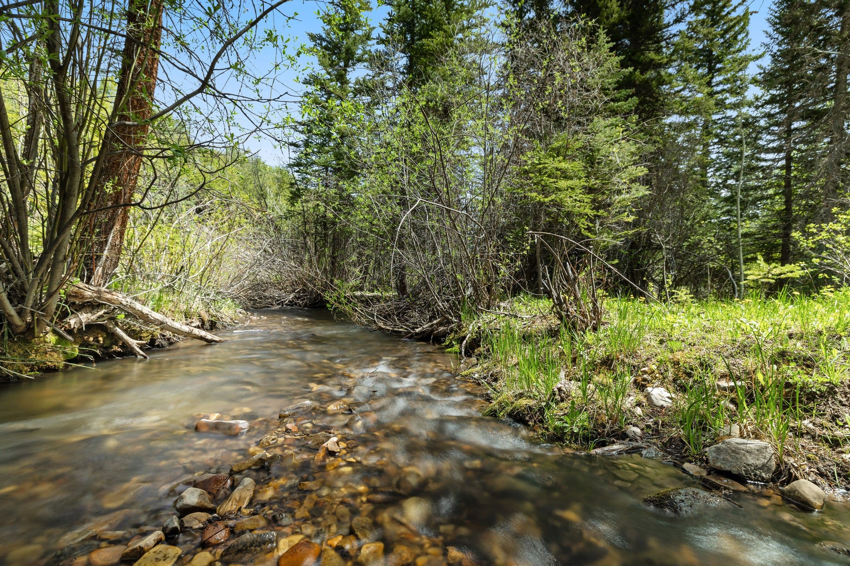 6855 Capitol Creek Road, Snowmass, CO 81654 - Photo 80