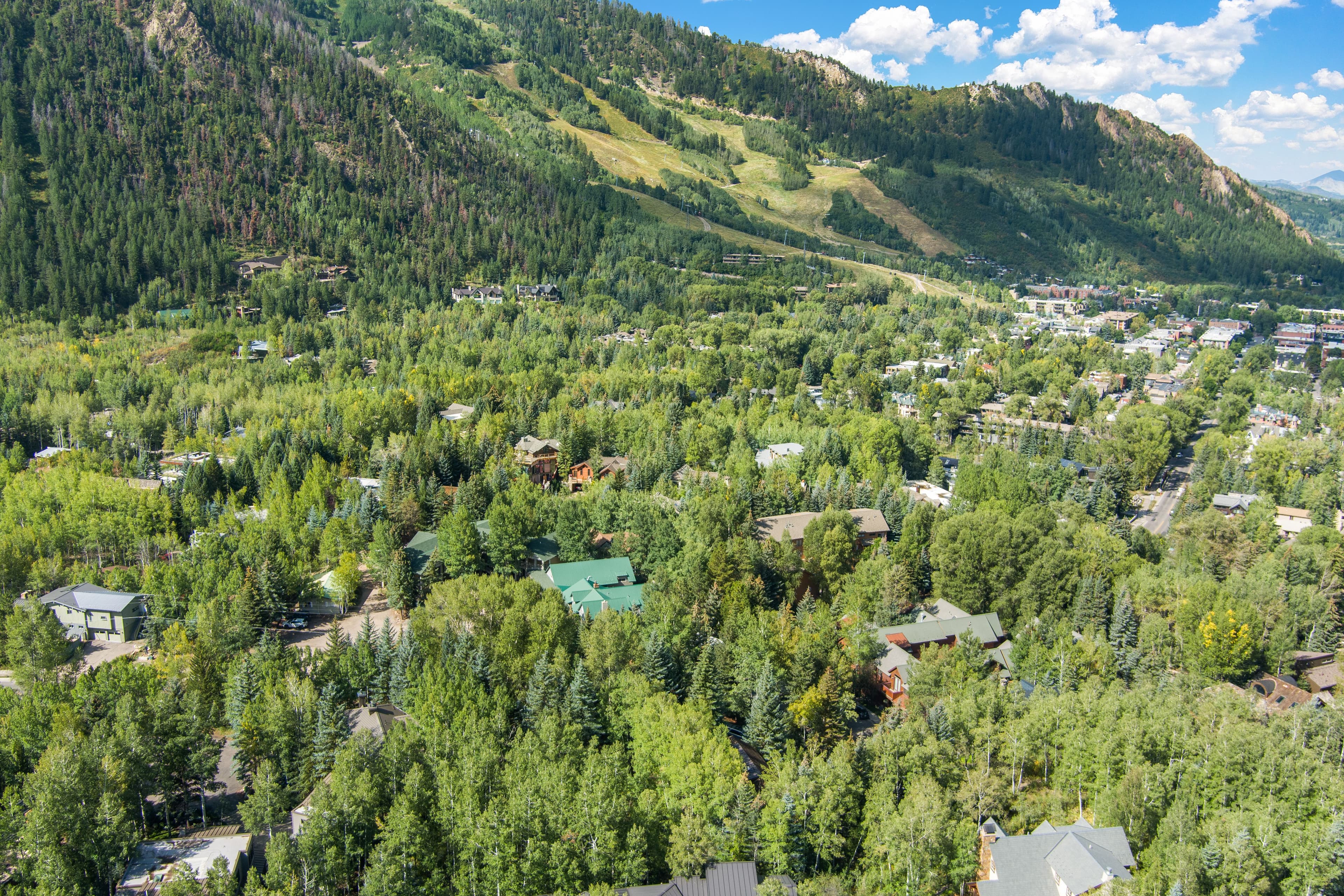 66 Alpine Court, Aspen, CO 81611 - Photo 27