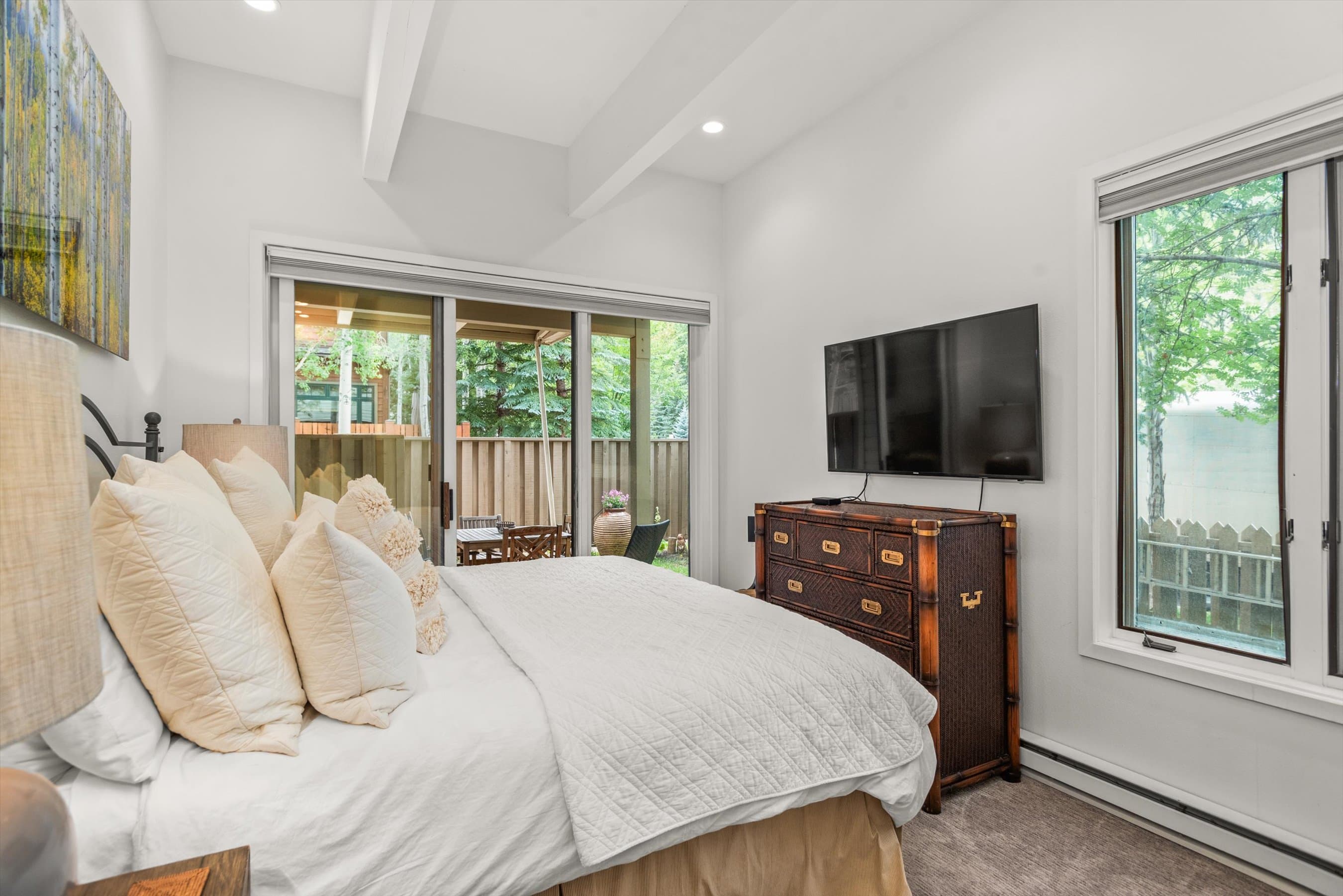 123 W Hyman Avenue Unit A, Aspen, CO 81611 - Photo 24