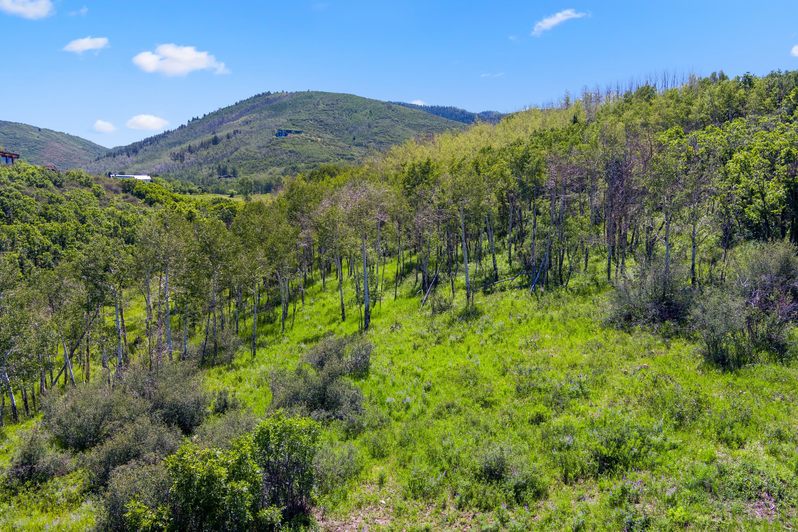 TBD Trentaz Drive, Aspen, CO 81611 - Photo 17