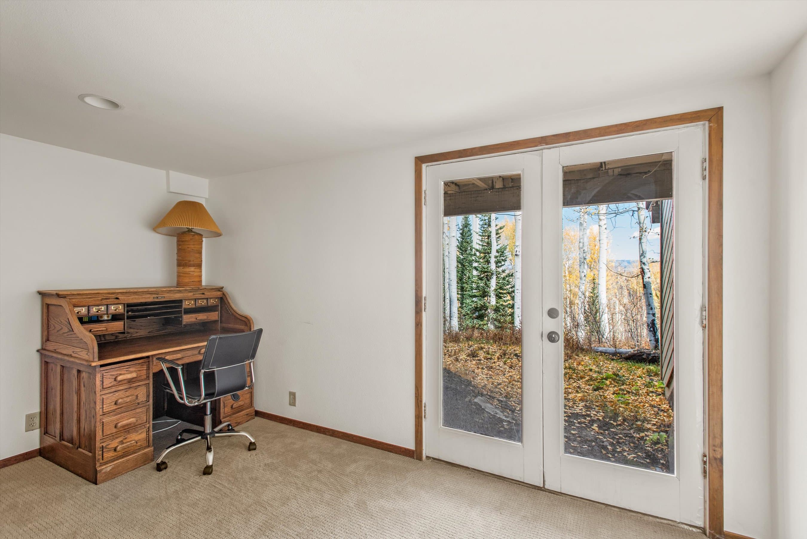 2055 Faraway Road, Snowmass Village, CO 81615 - Photo 18