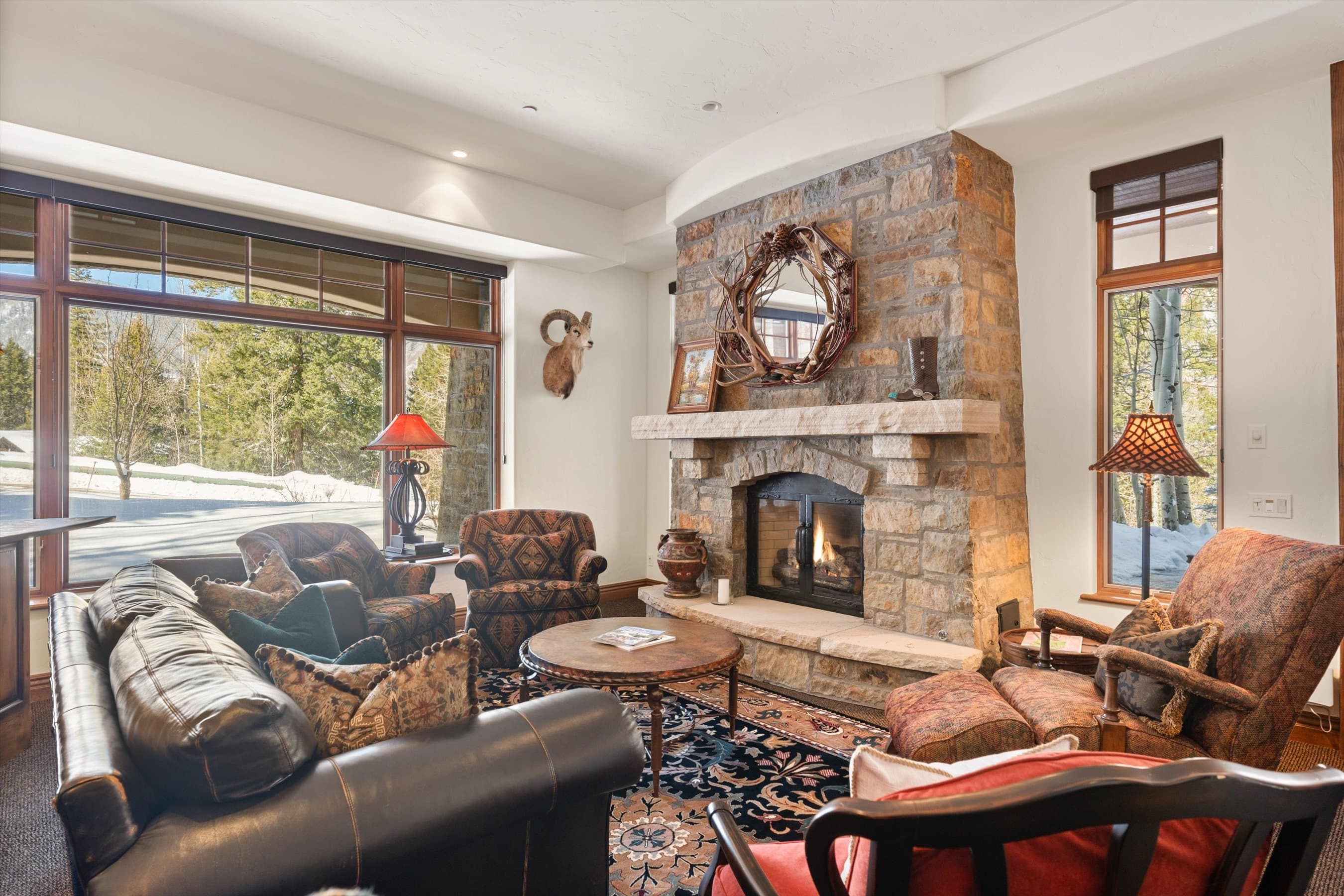 180 Exhibition Lane, Aspen, CO 81611 - Photo 8
