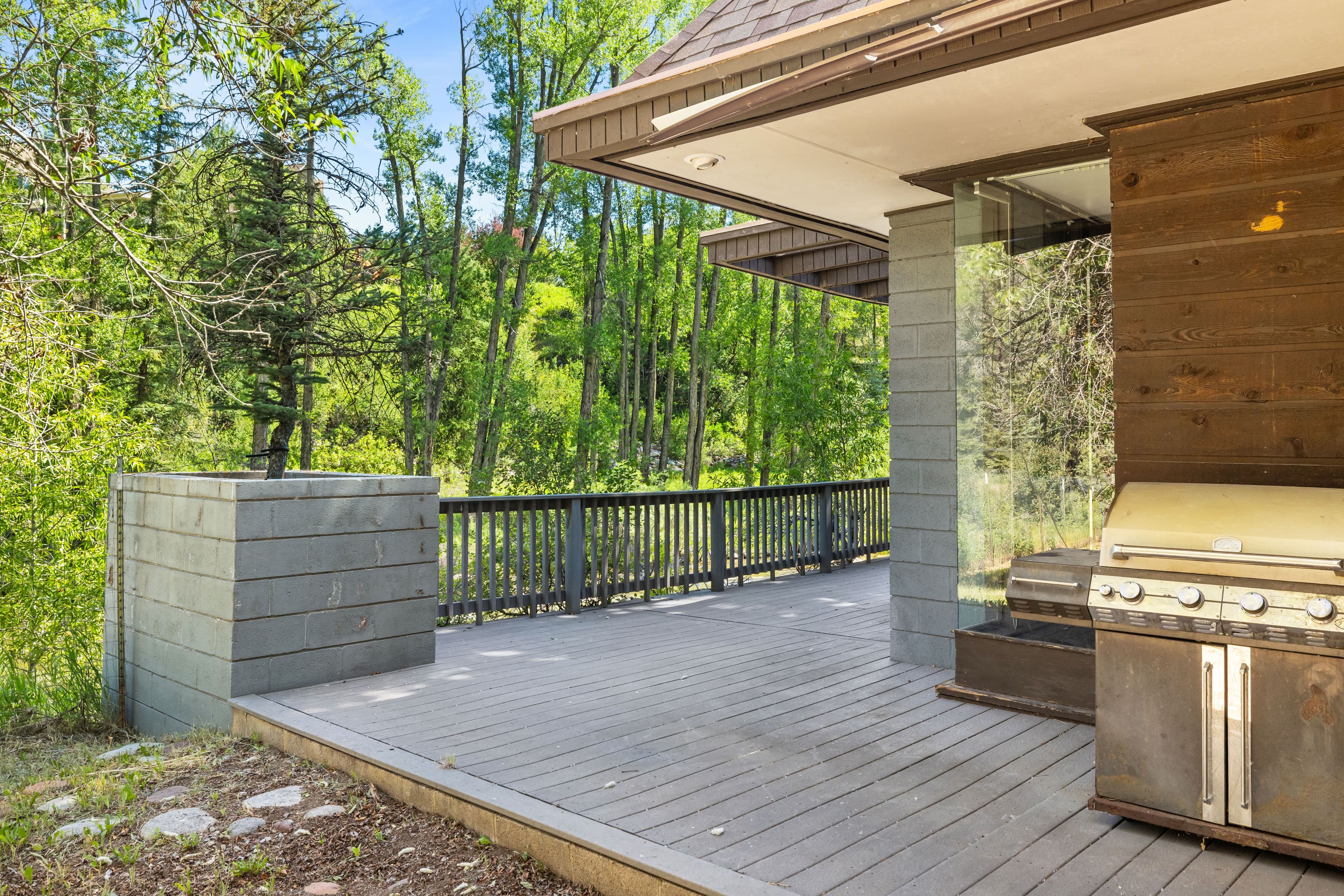 820 Twining Flats Road, Aspen, CO 81611 - Photo 17