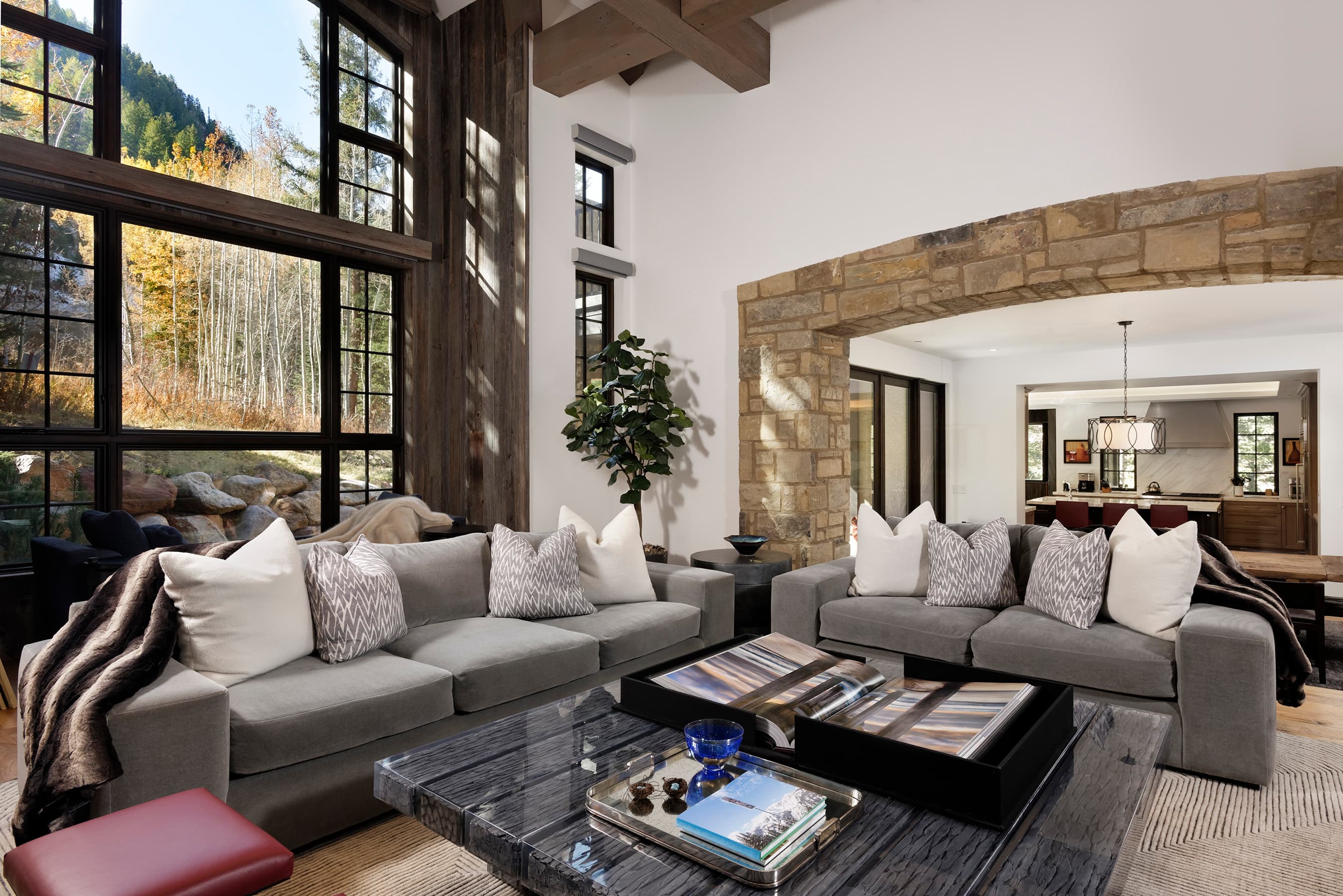 235 Exhibition Lane, Aspen, CO 81611 - Photo 17