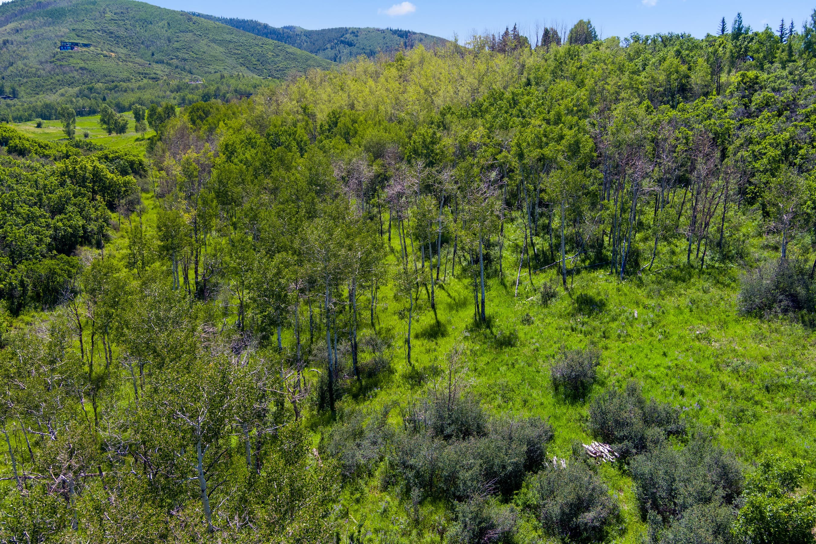 TBD Trentaz Drive, Aspen, CO 81611 - Photo 20